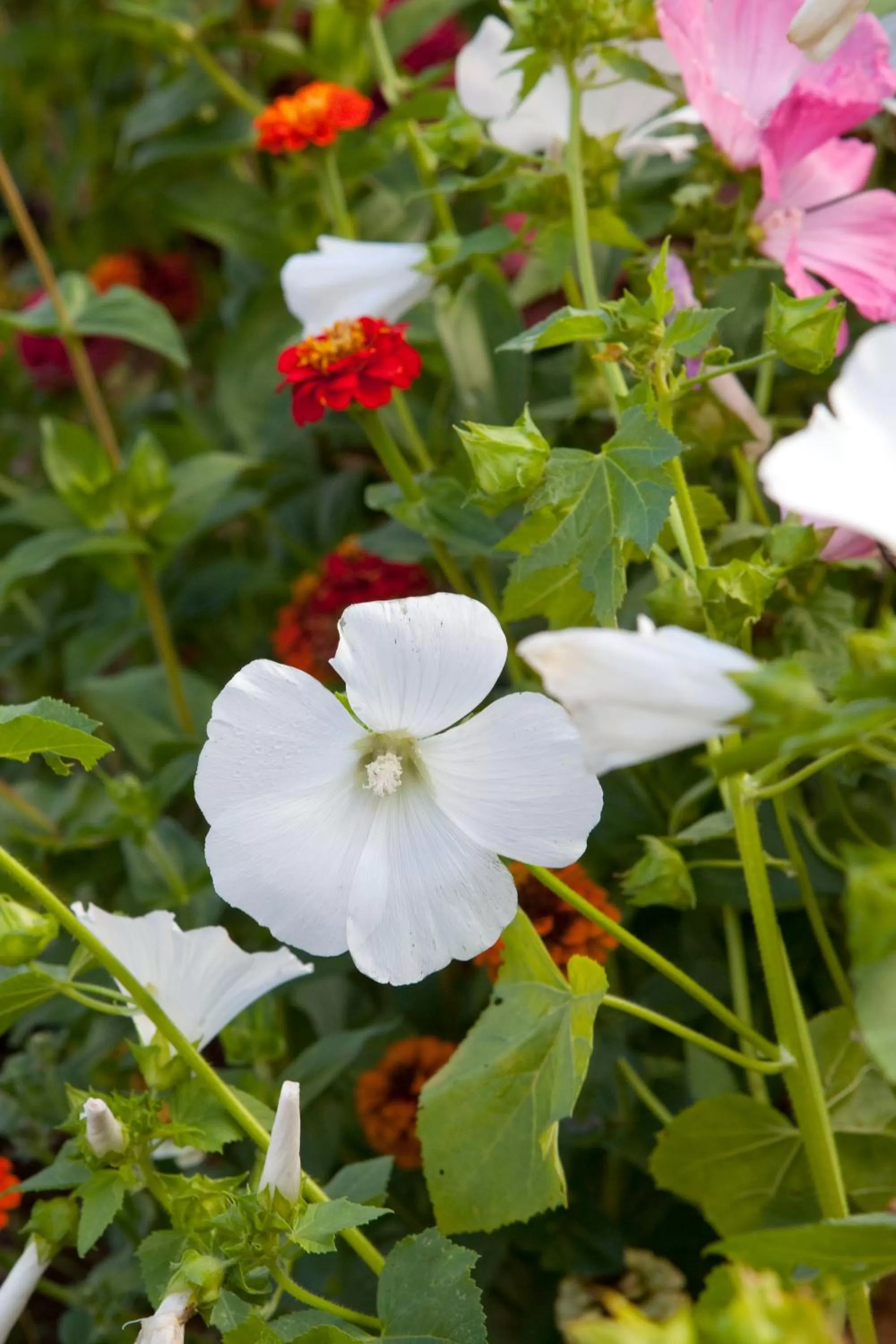 Other in Hôtel Mac Bed