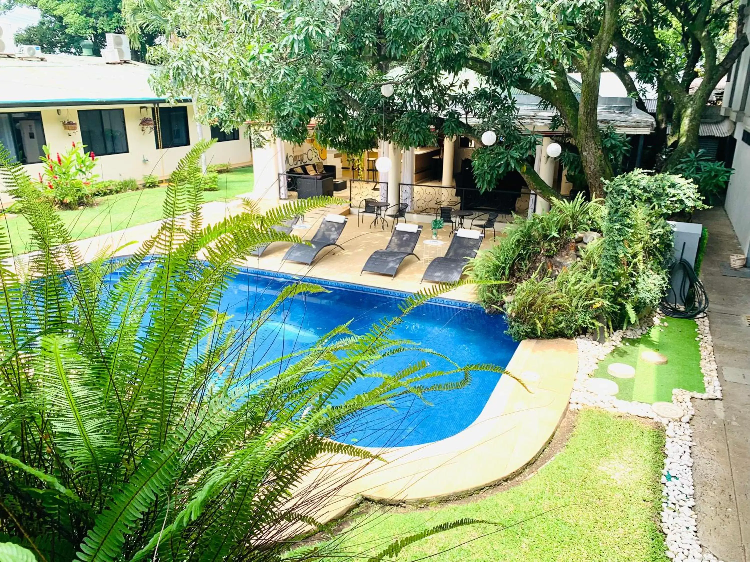 Swimming pool, Pool View in Hotel Mango Airport