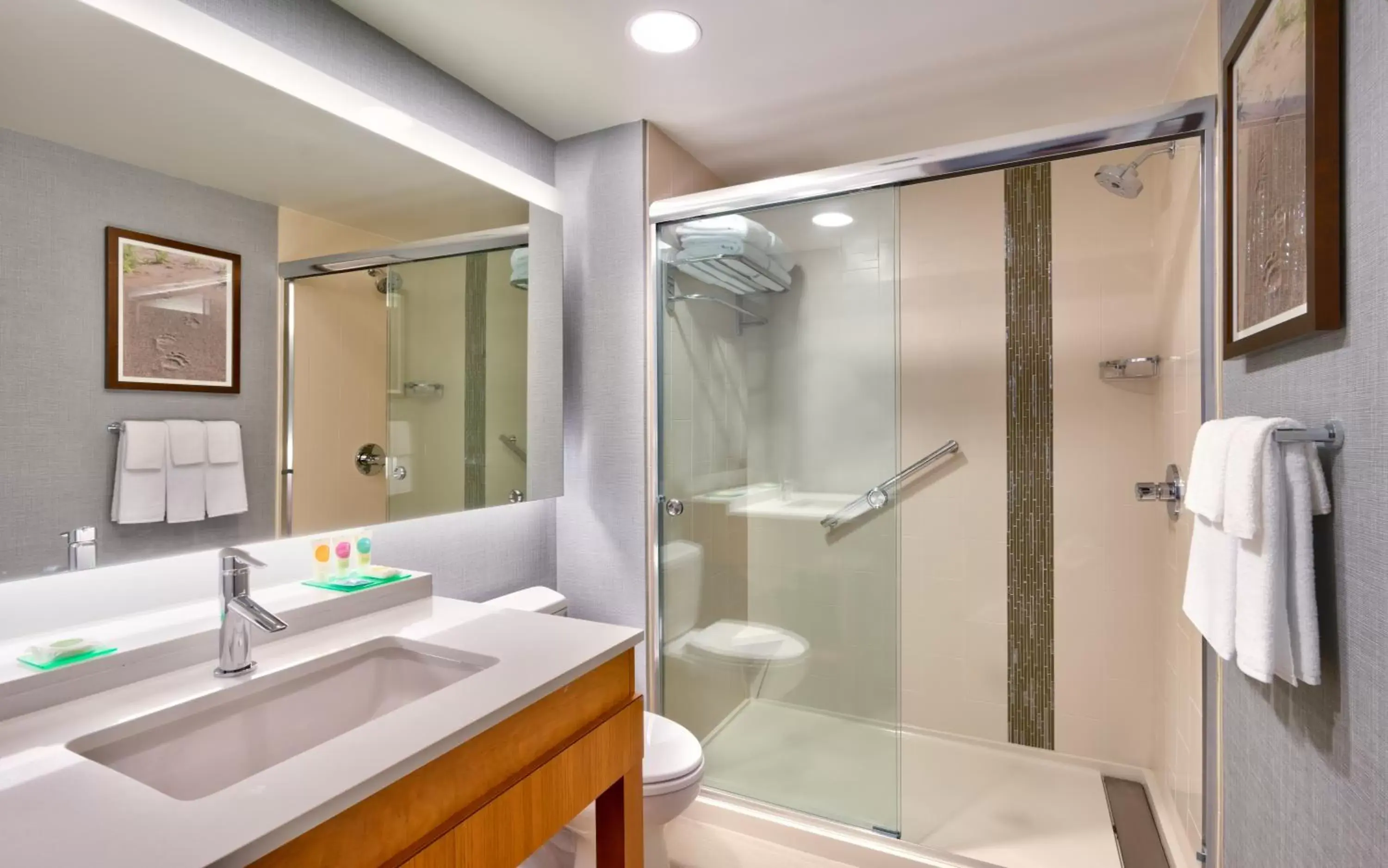 Shower, Bathroom in Hyatt Place Anchorage-Midtown