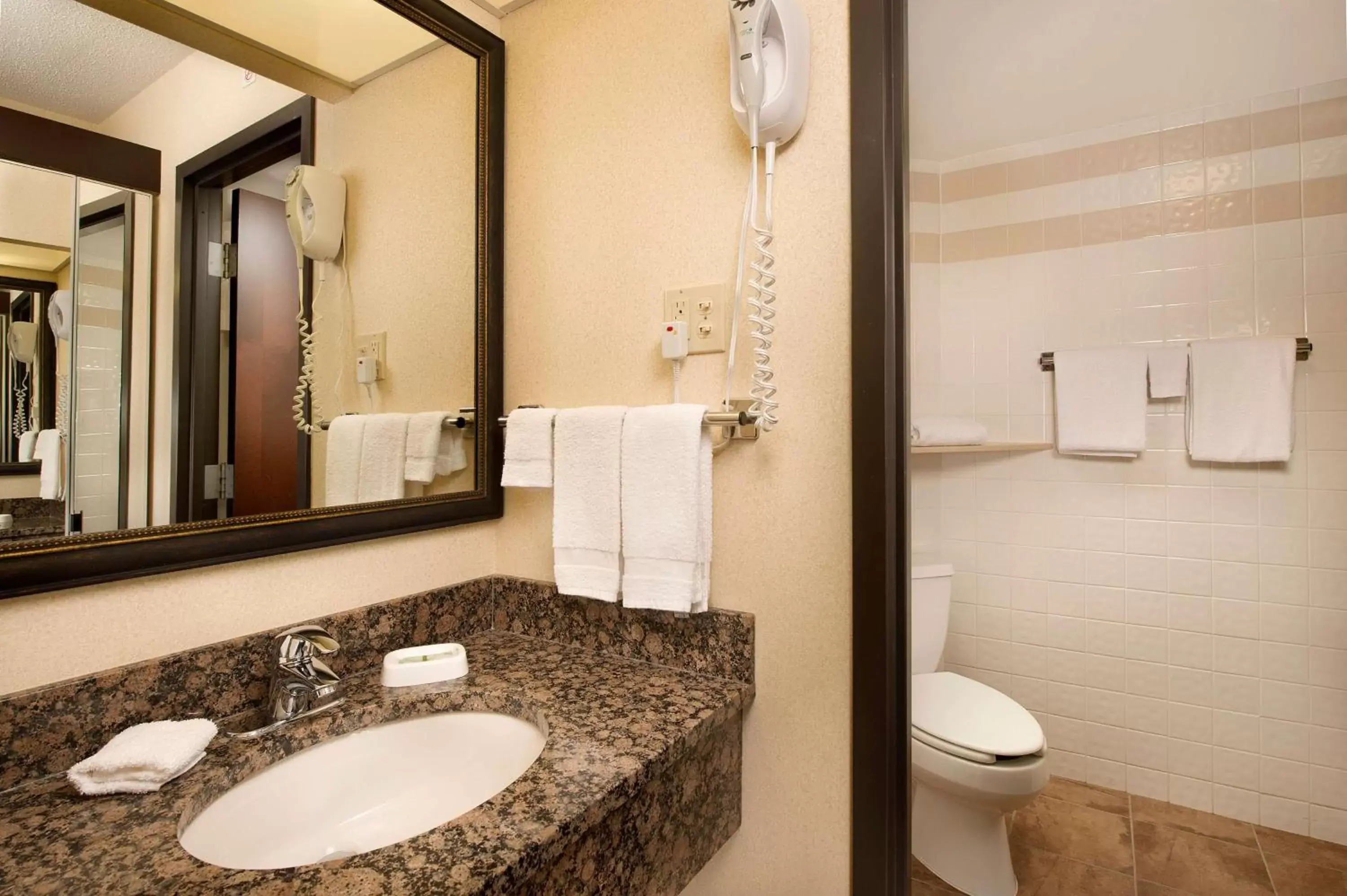 Bathroom in Drury Inn & Suites Springfield