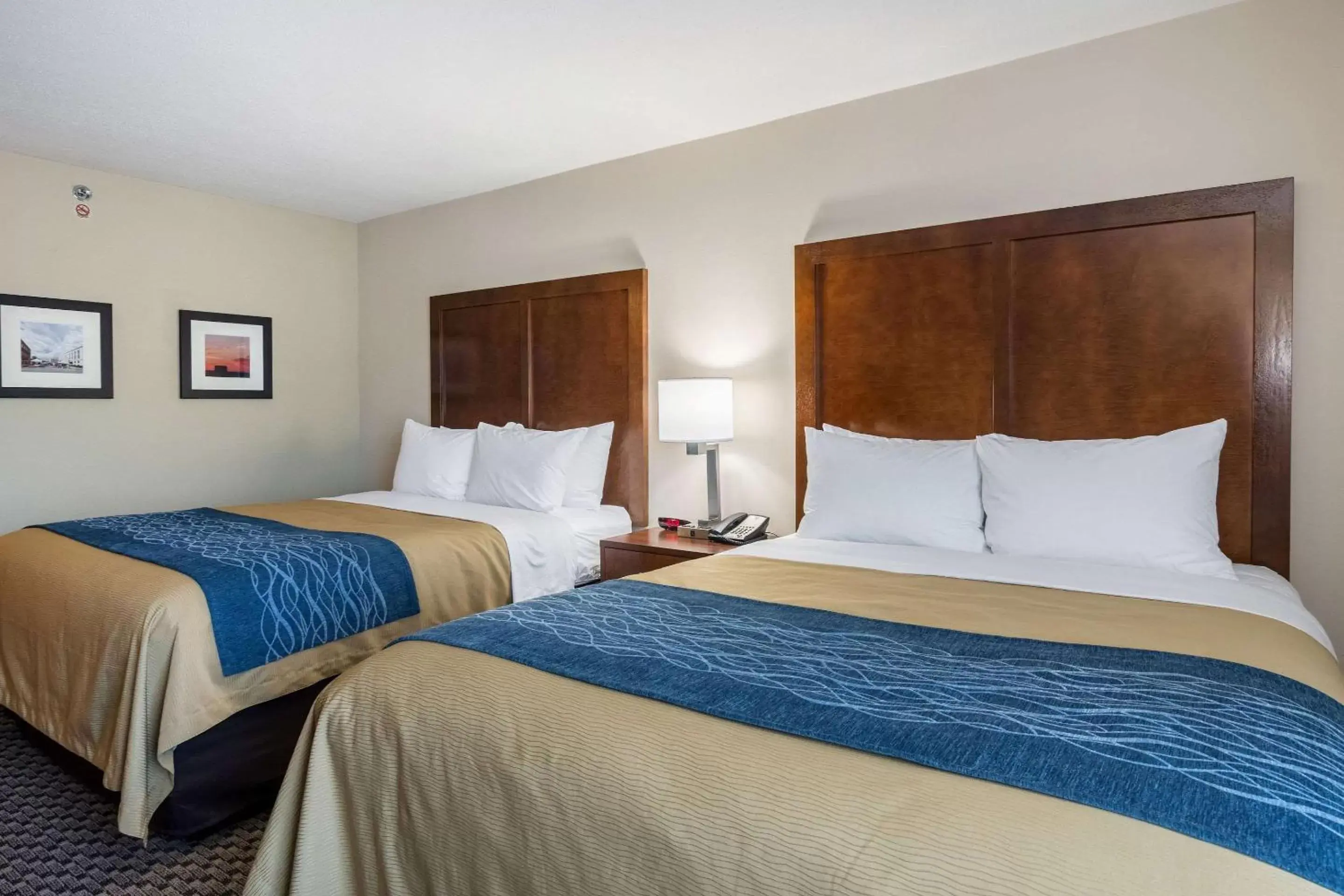 Photo of the whole room, Bed in Comfort Inn Edwardsville - St. Louis