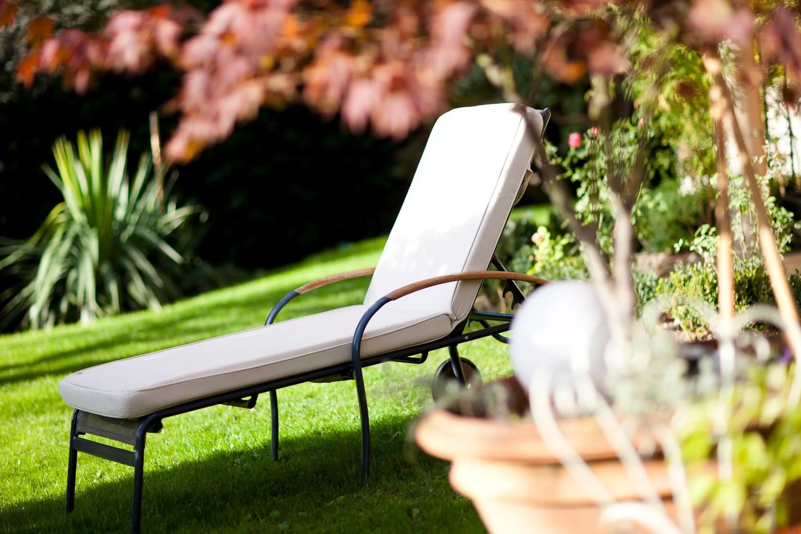 Garden in Hotel Aster