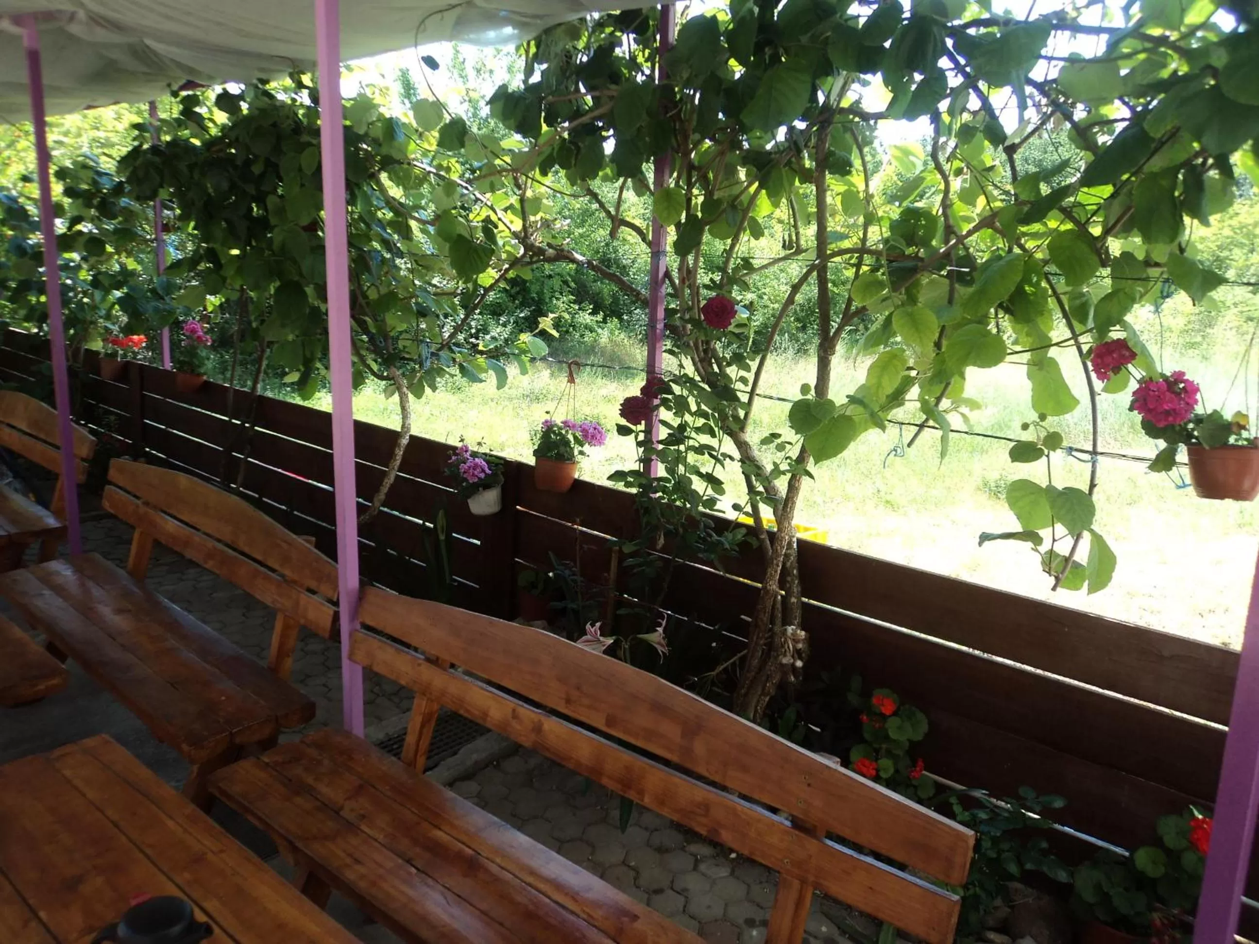 Other in Pansion Modana Medjugorje