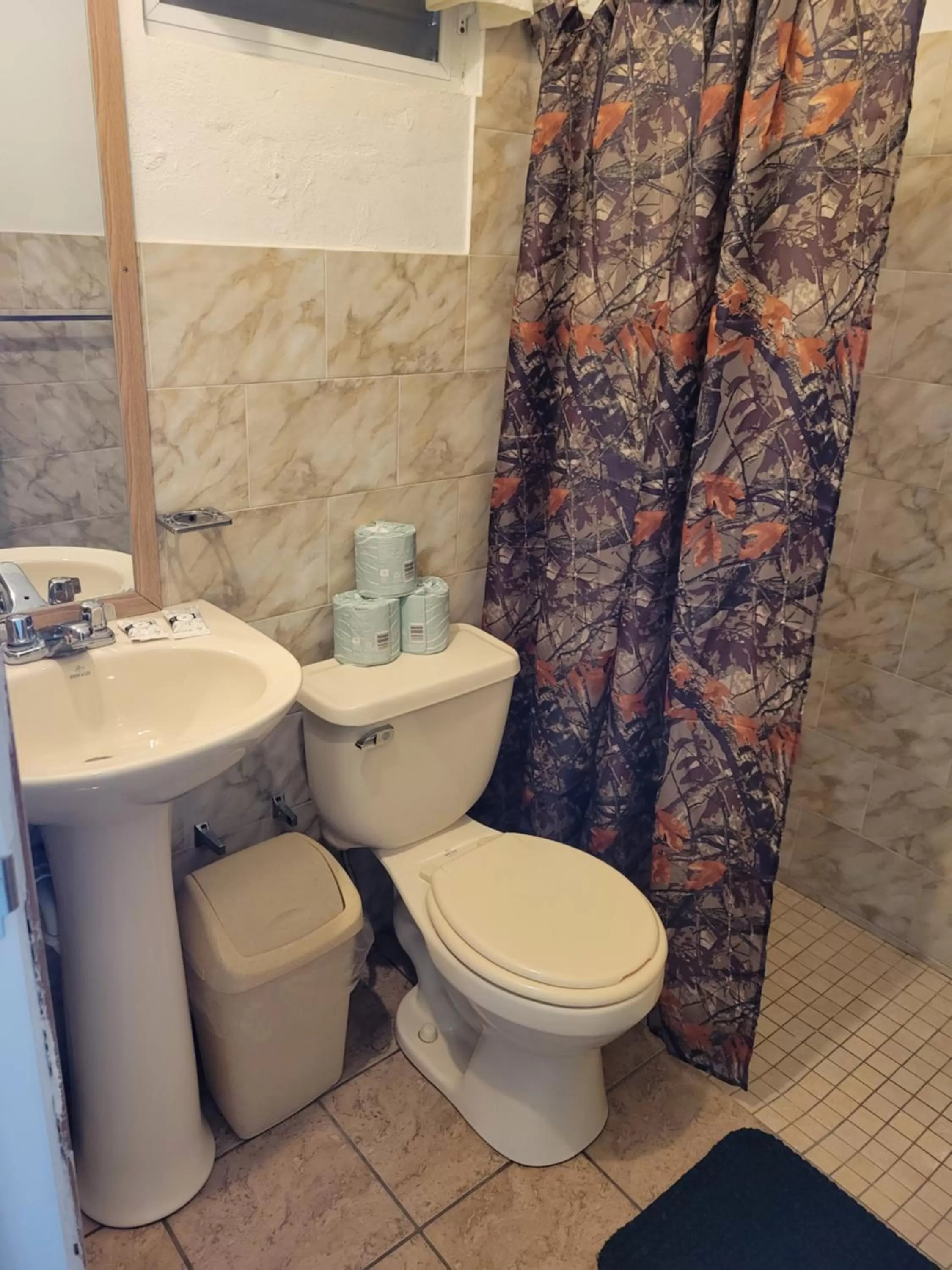 Toilet in Aguada of the Seas