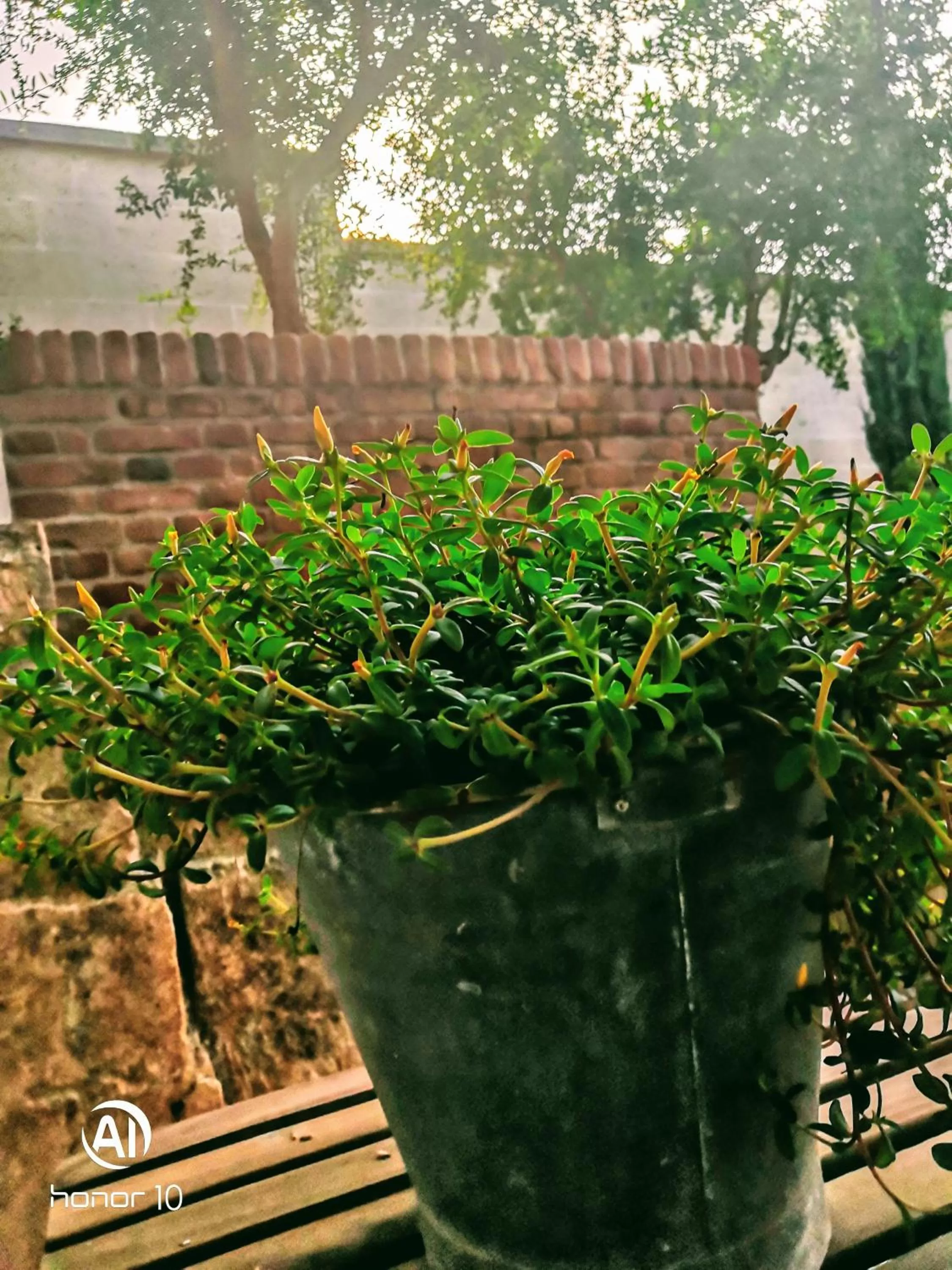 Decorative detail in BORGO LUNA b&b