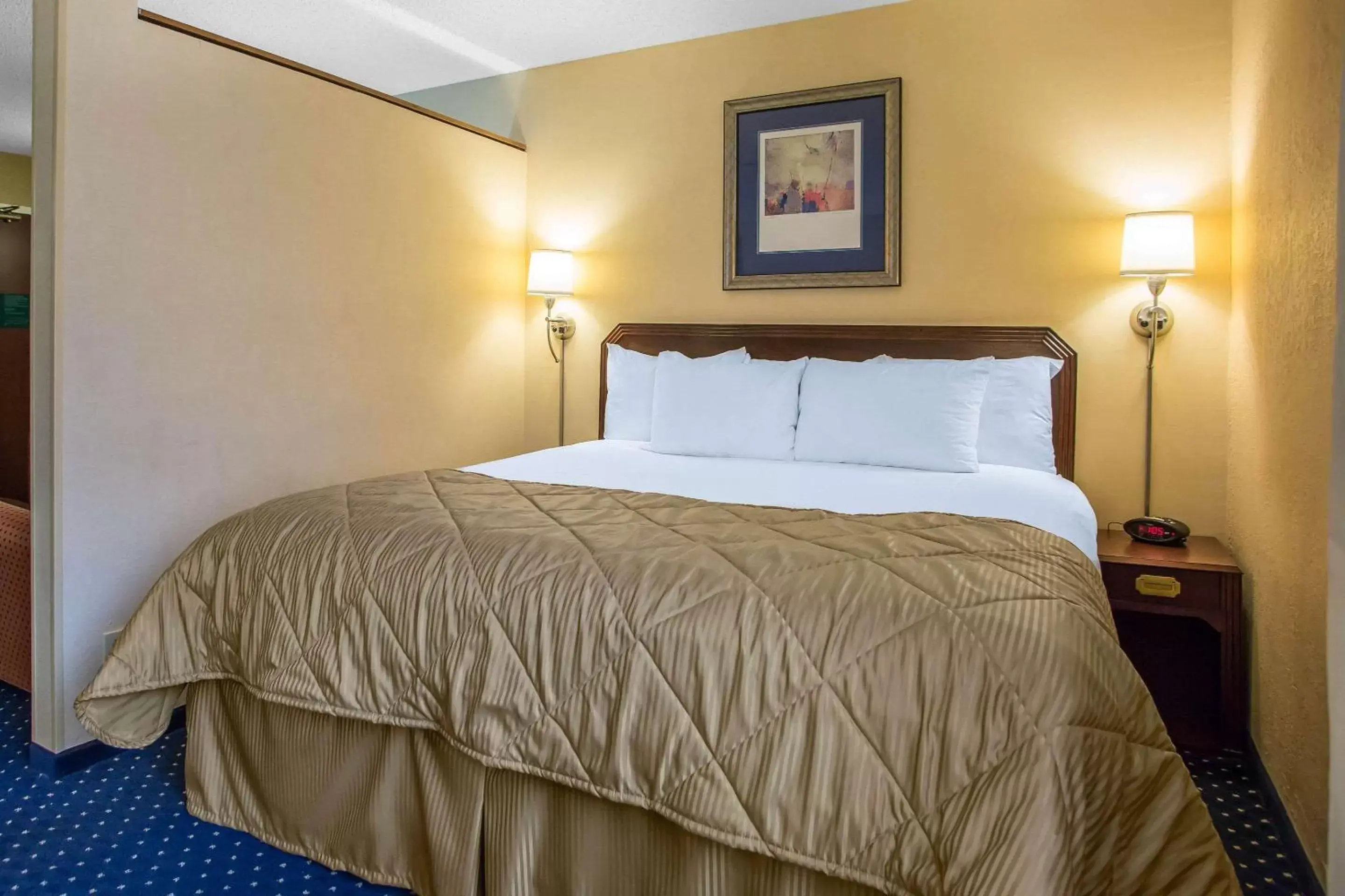 Photo of the whole room, Bed in Clarion Inn Merrillville