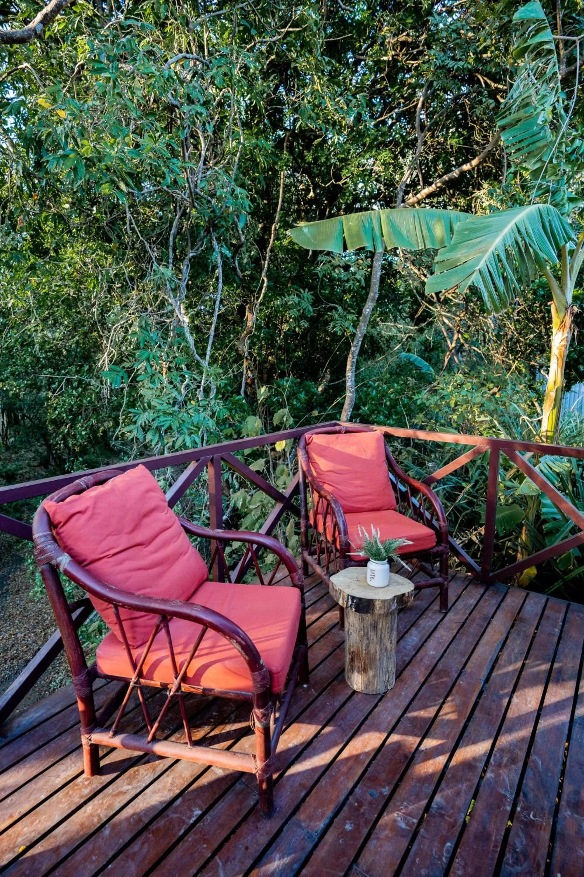 Antema Lodge Secteur Tamarindo, piscine, yoga, gym, jungle et paix