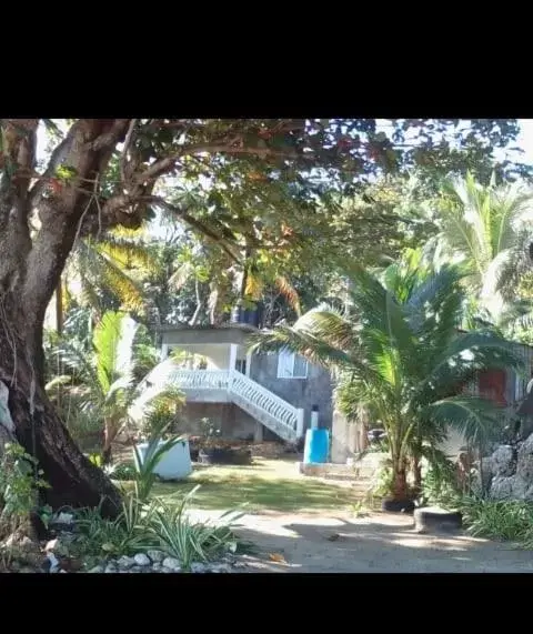 Bird's-eye View in Port Antonio Brian's Beach House