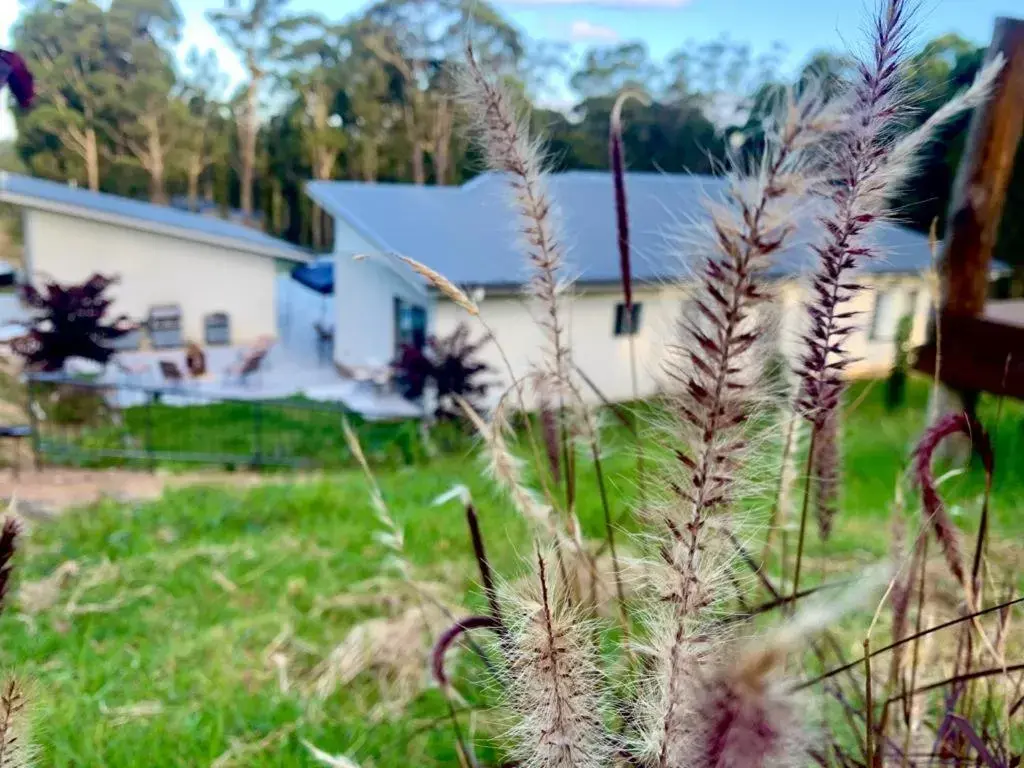 Garden in Mountain Valley