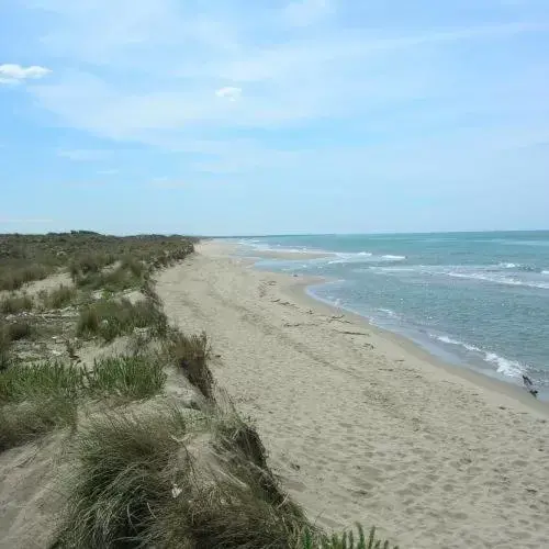 Beach in I Levrieri b&b