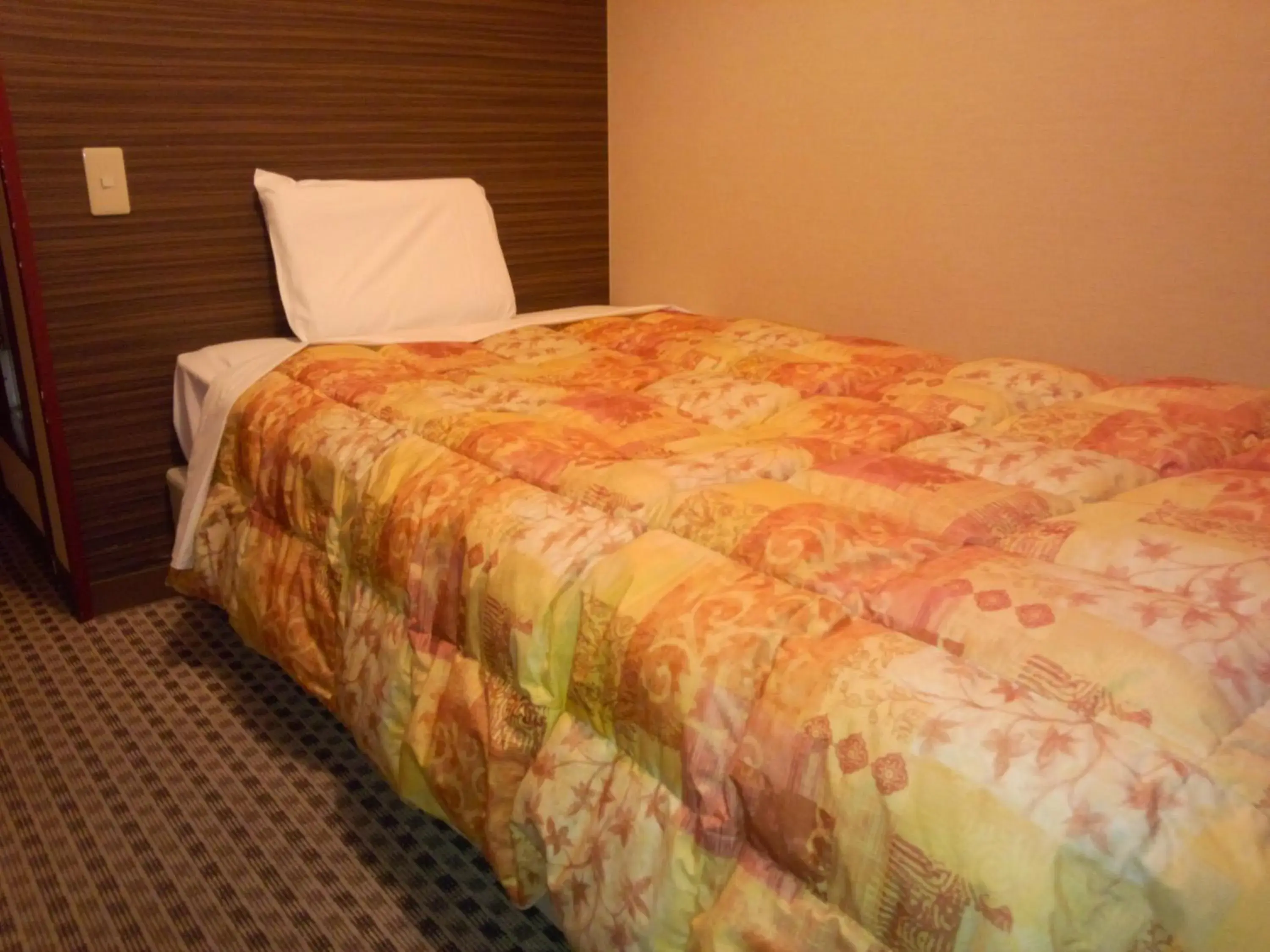 Photo of the whole room, Bed in Hotel Matsumoto Hills