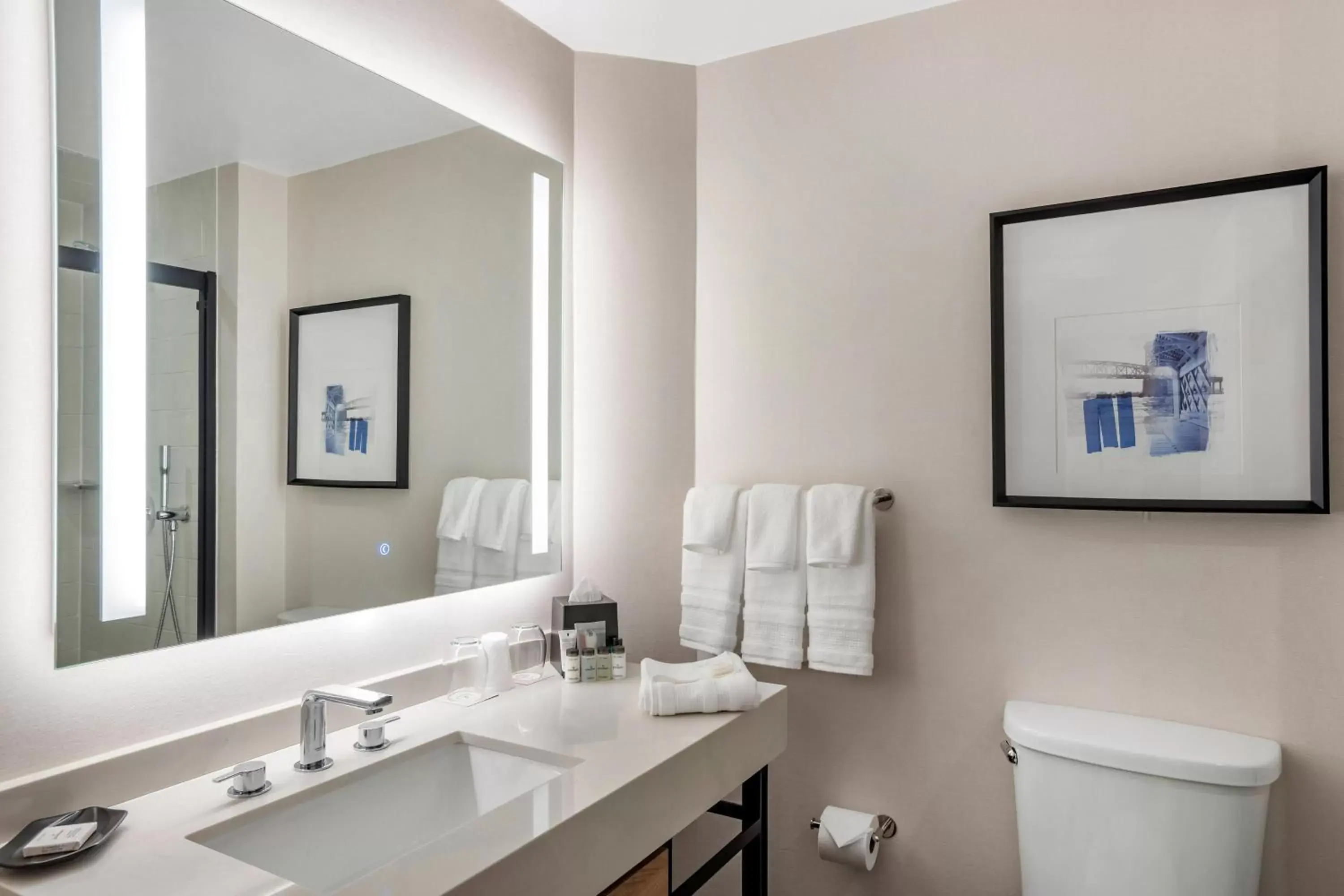 Bathroom in Sheraton Suites Wilmington Downtown