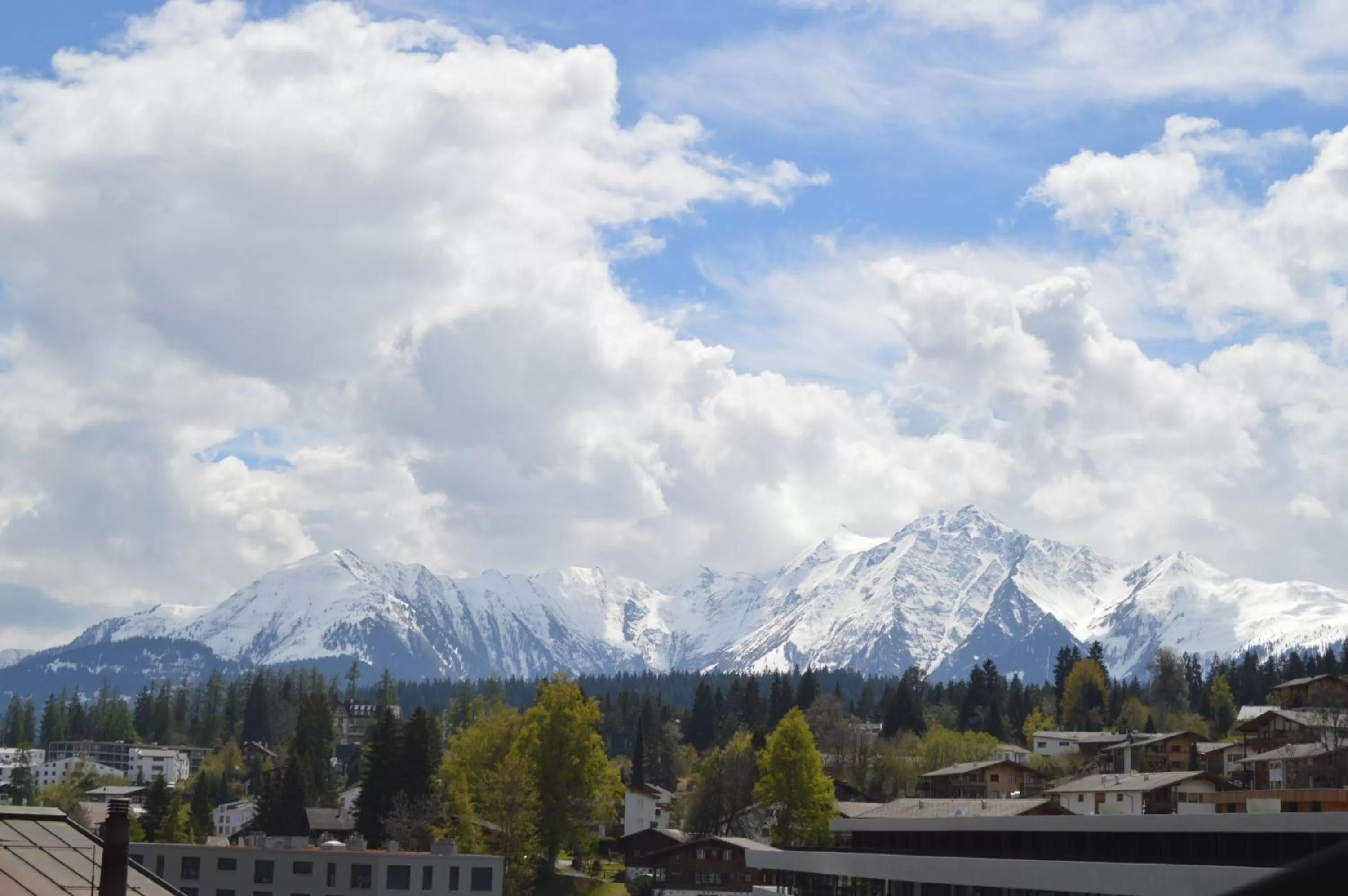 Garden view in Hostel Flims