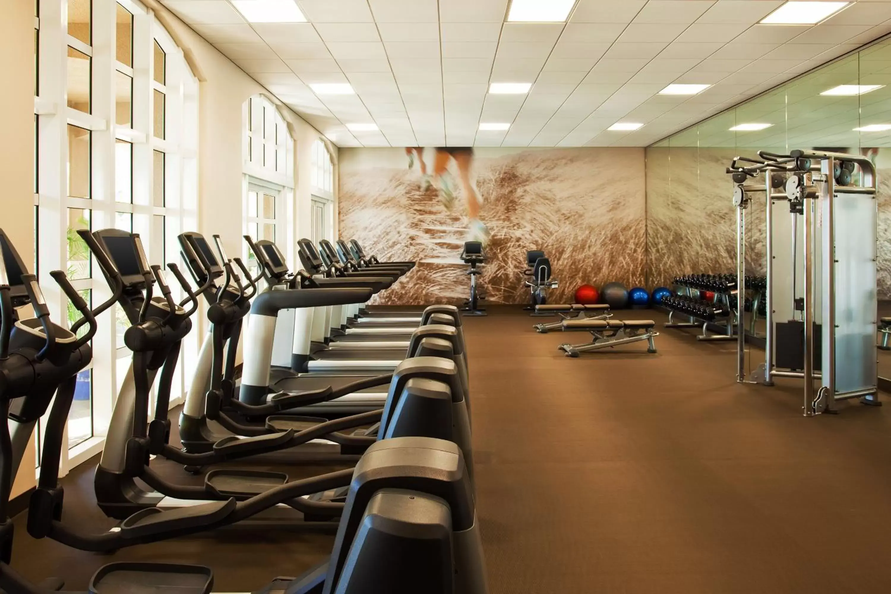 Fitness centre/facilities, Fitness Center/Facilities in The Westin Cape Coral Resort at Marina Village