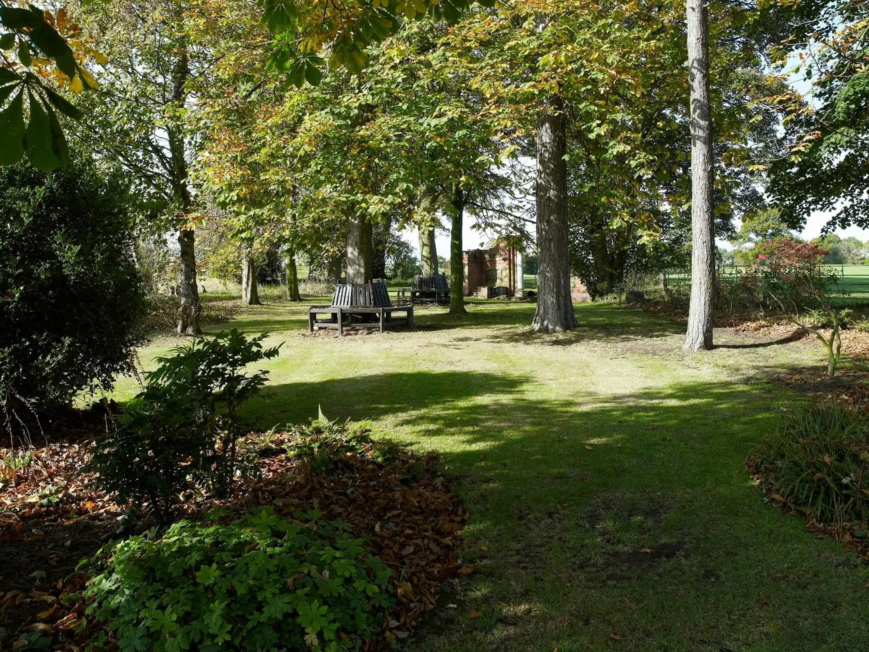 Natural landscape, Garden in Morley Hayes Hotel