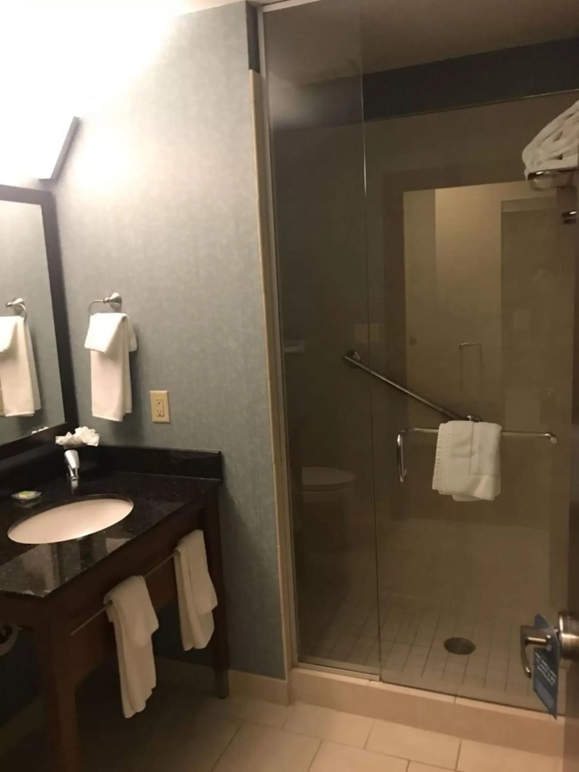 Shower, Bathroom in Hyatt Place Des Moines Downtown