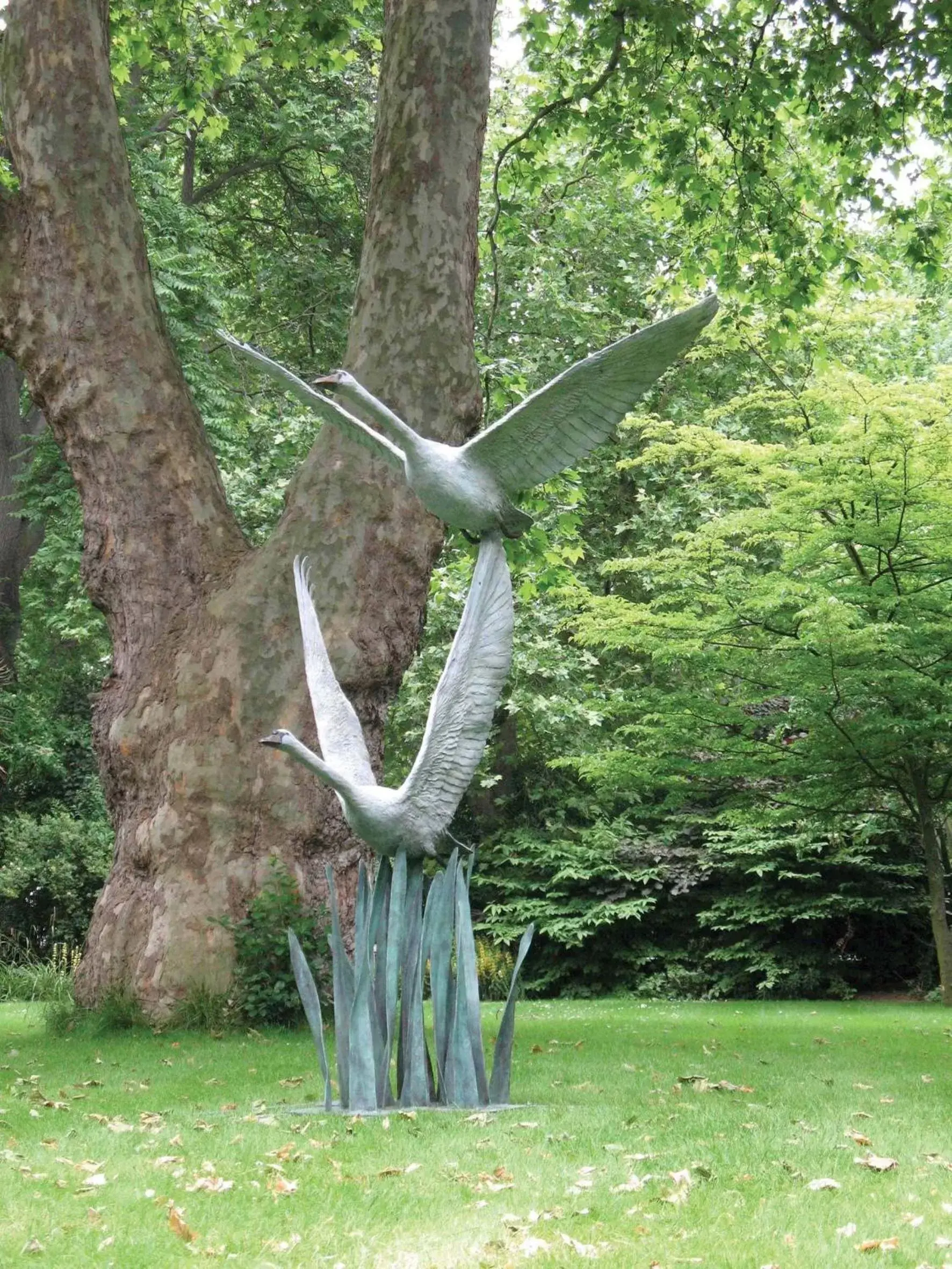 Garden in Lough Eske Castle