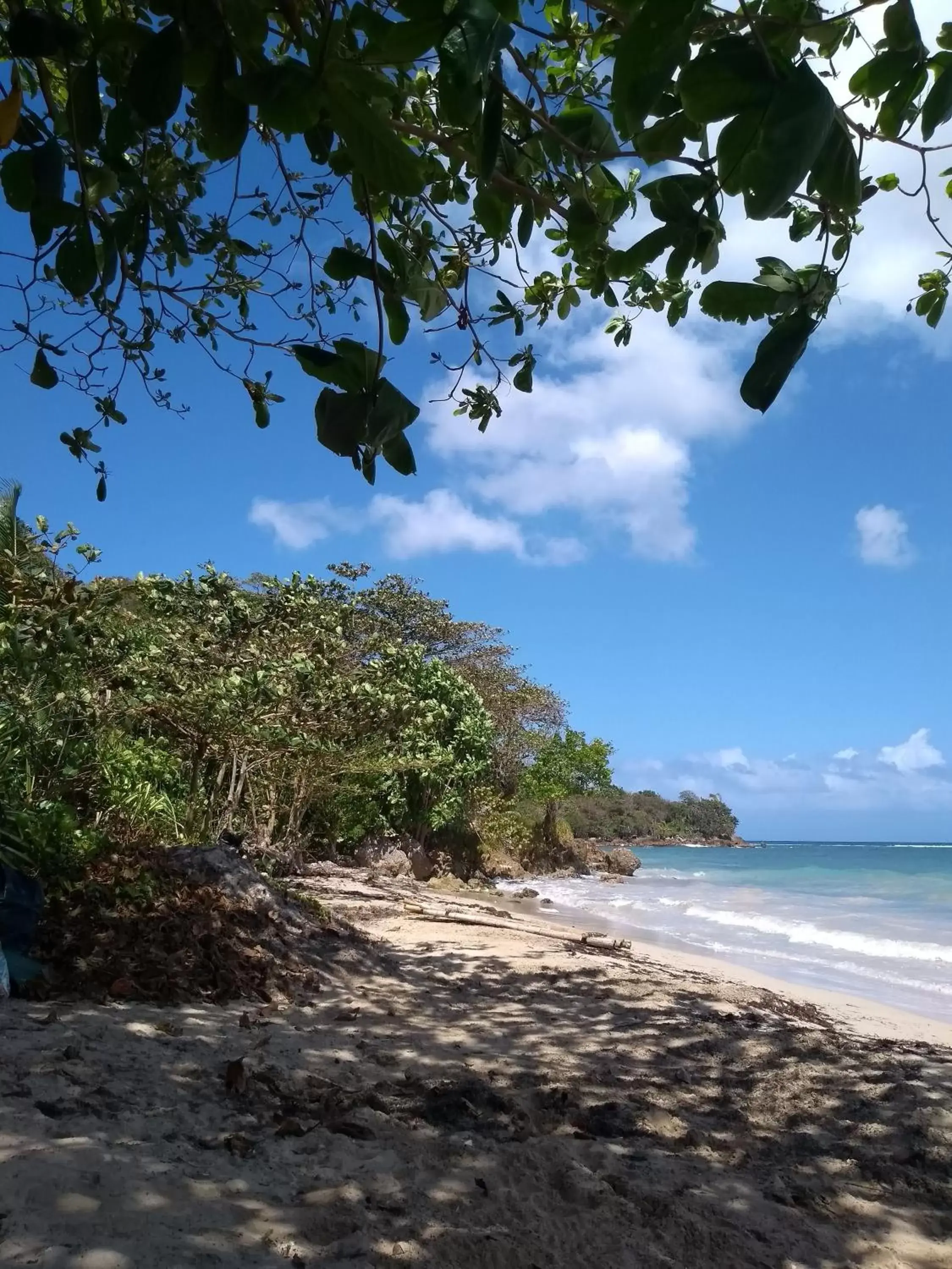 Beach in Port Antonio Brian's Beach House