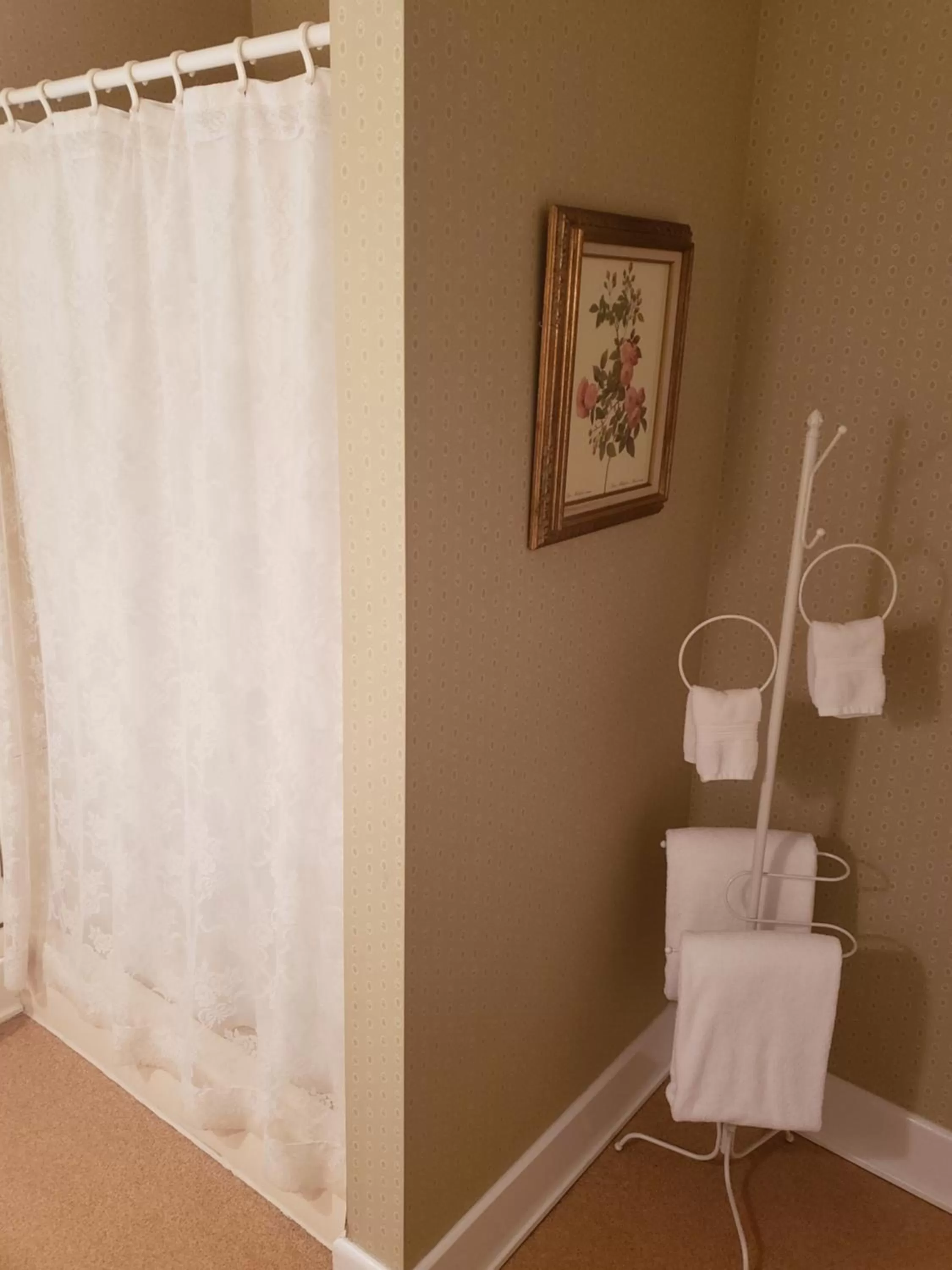 Shower, Bathroom in Hudson Manor Bed & Breakfast