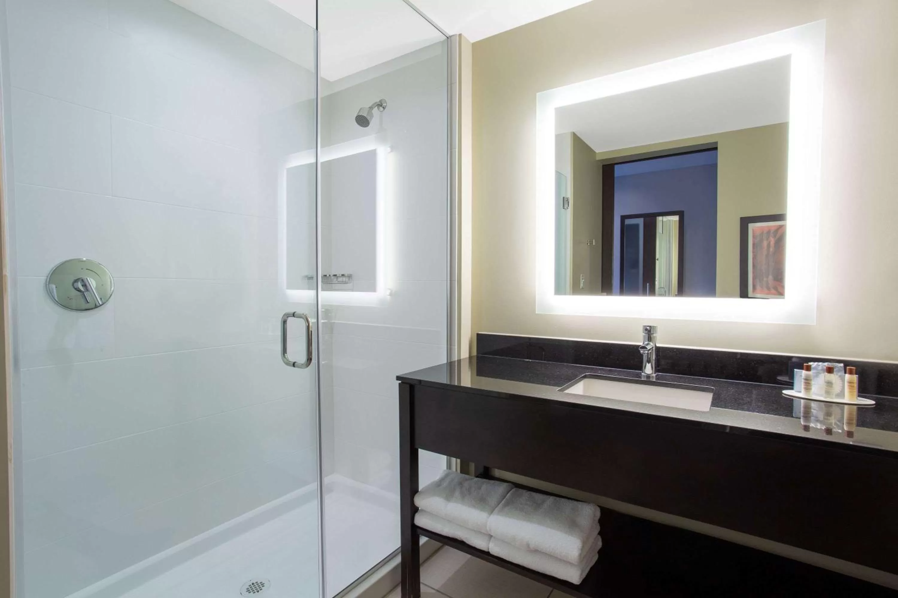 Bathroom in Wingate by Wyndham Page Lake Powell