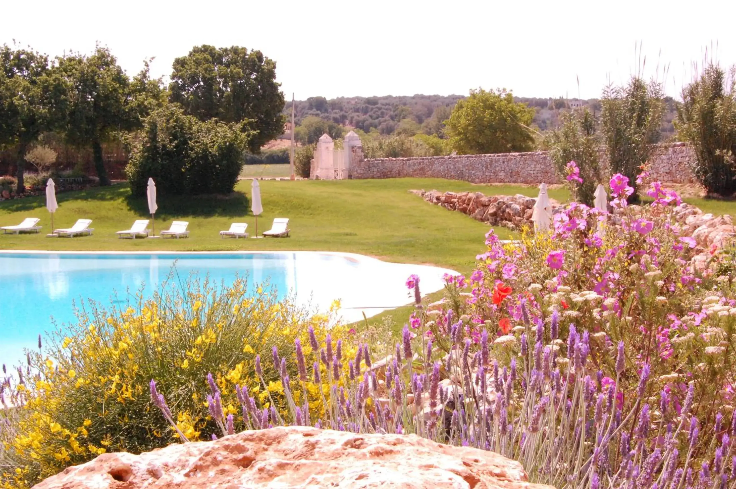 Swimming pool in Masseria Cervarolo