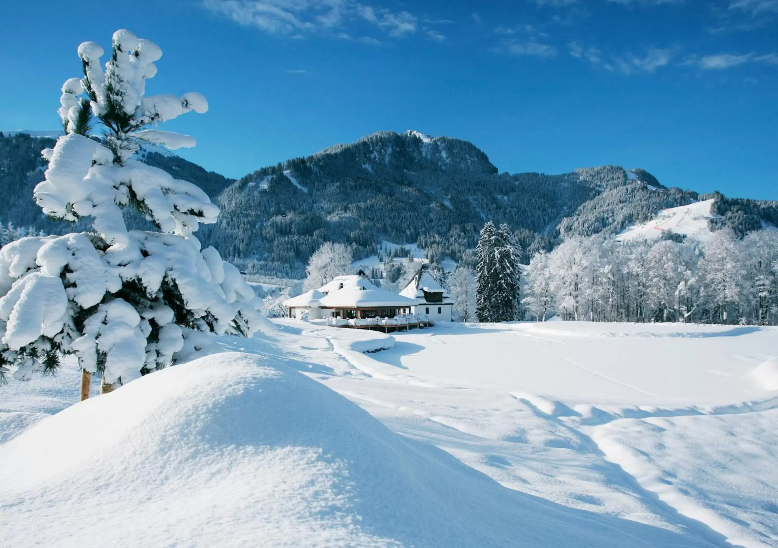 Natural landscape, Winter in A-ROSA Kitzbühel