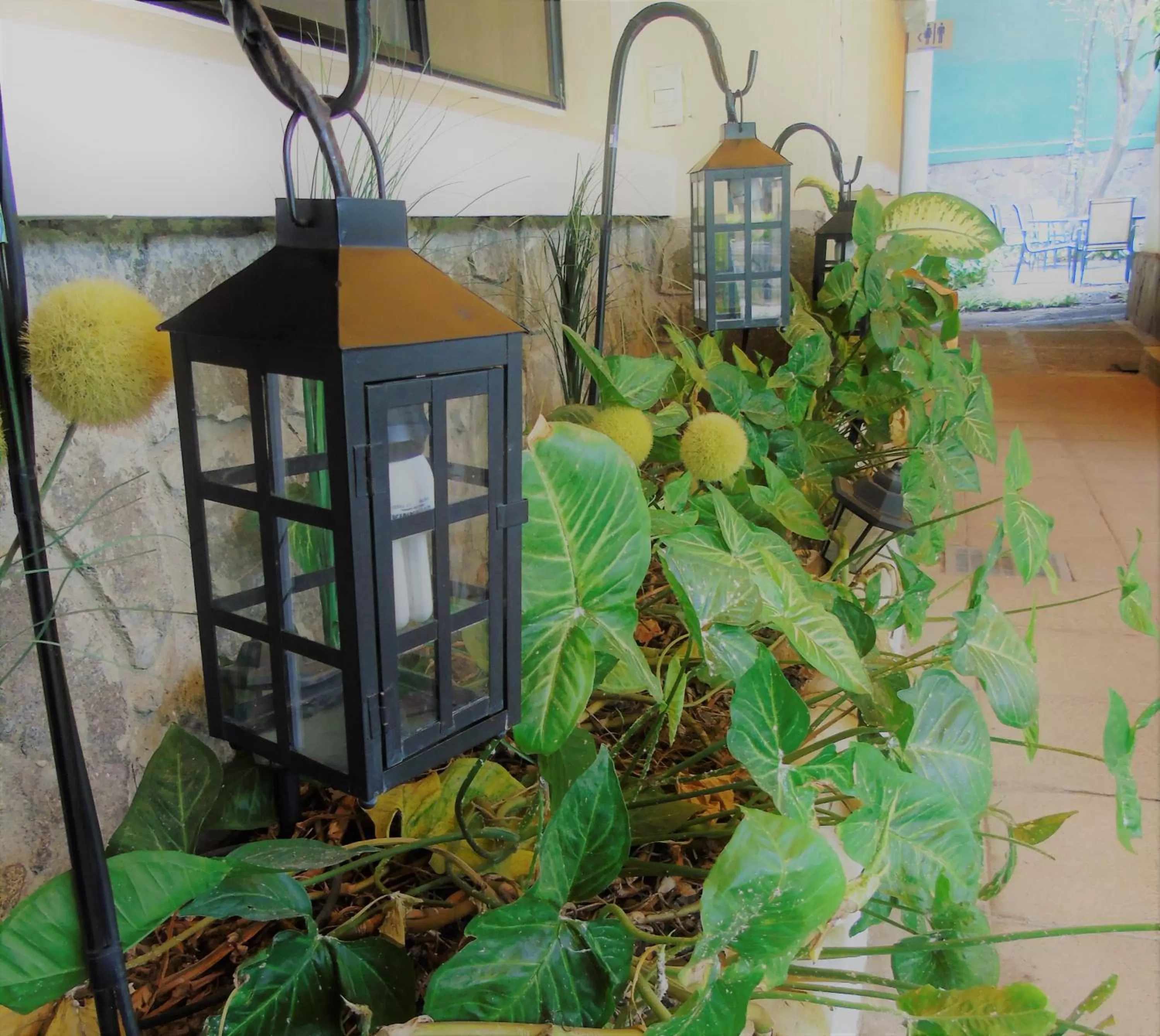 Las Magnolias Hotel Boutique