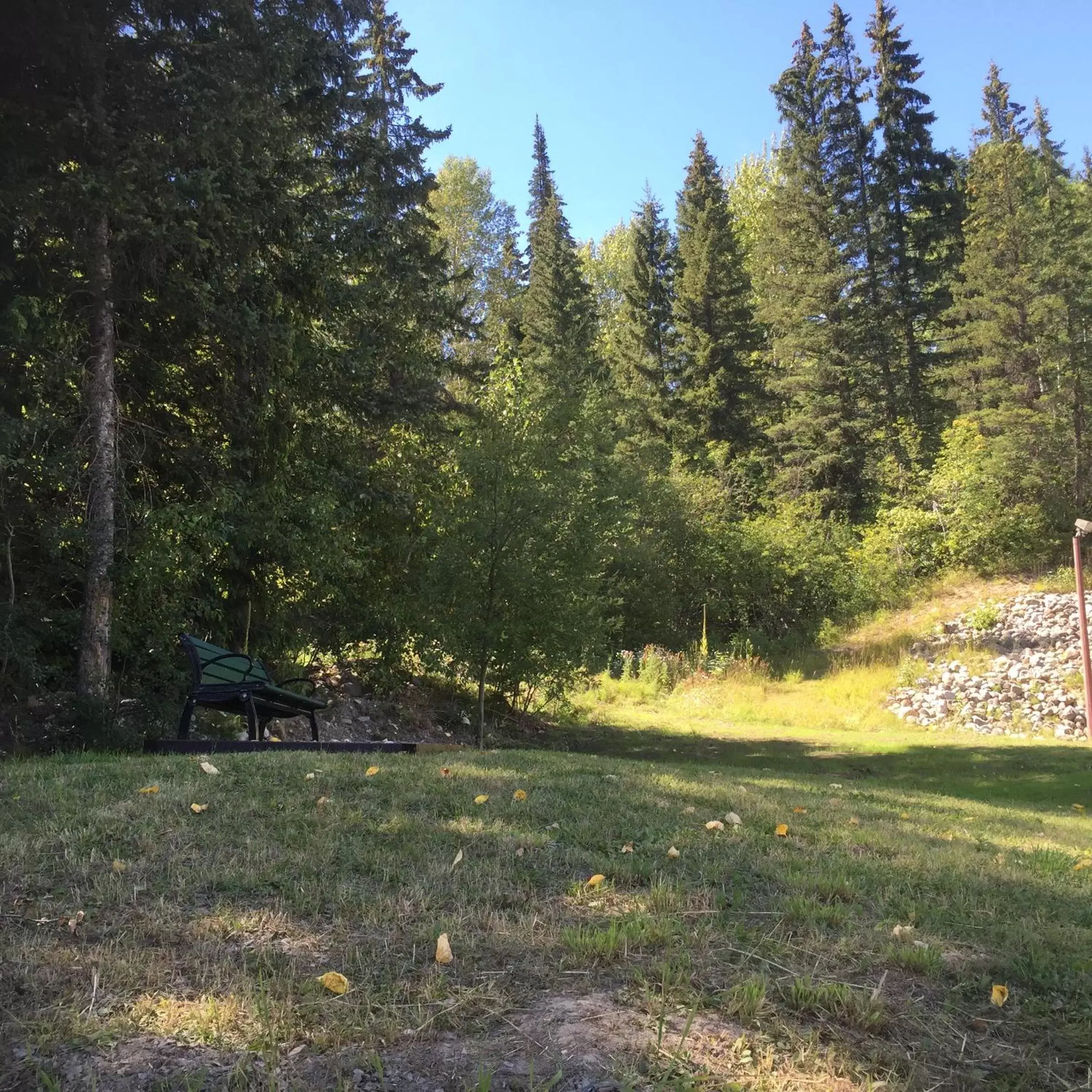 Garden in Fernie Fox Hotel