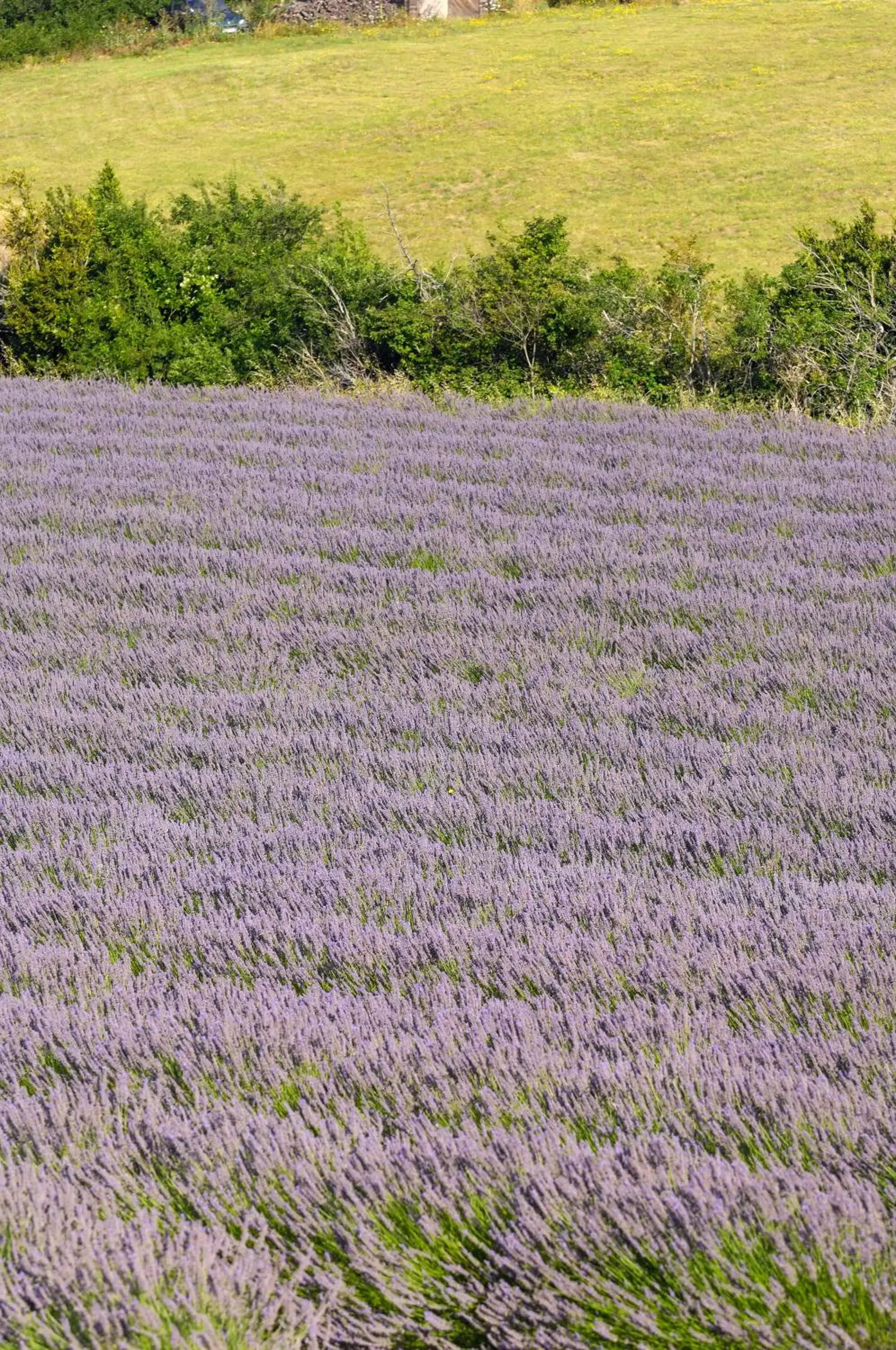 Natural Landscape in La Bastide De Grignan Hotel & Restaurant