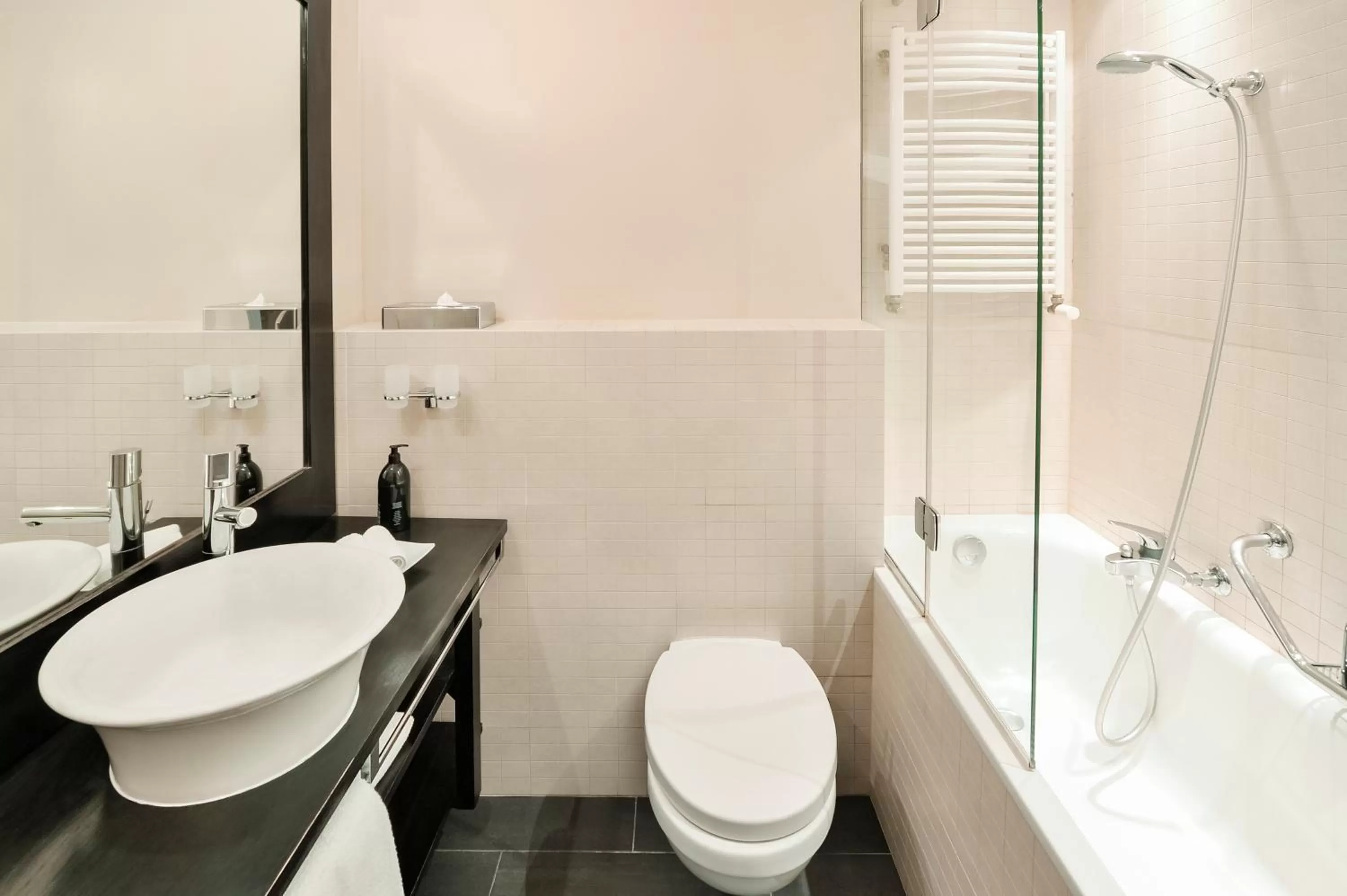 Bathroom in Aparthotel Adagio Genève Mont-Blanc