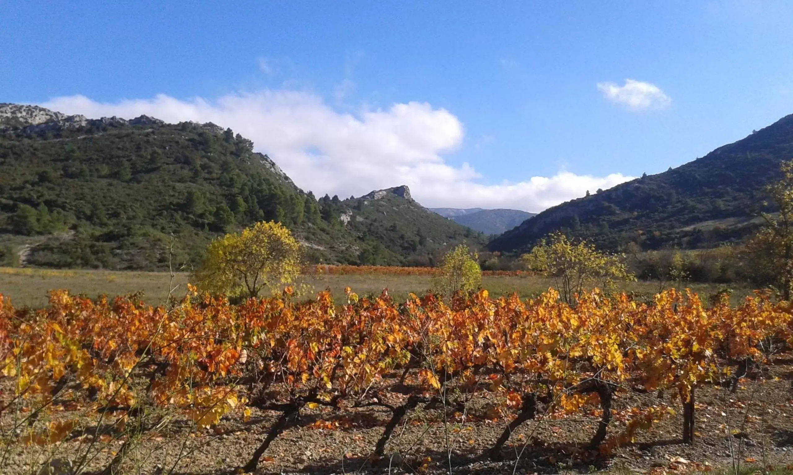 Natural Landscape in Au Paradis Cathare