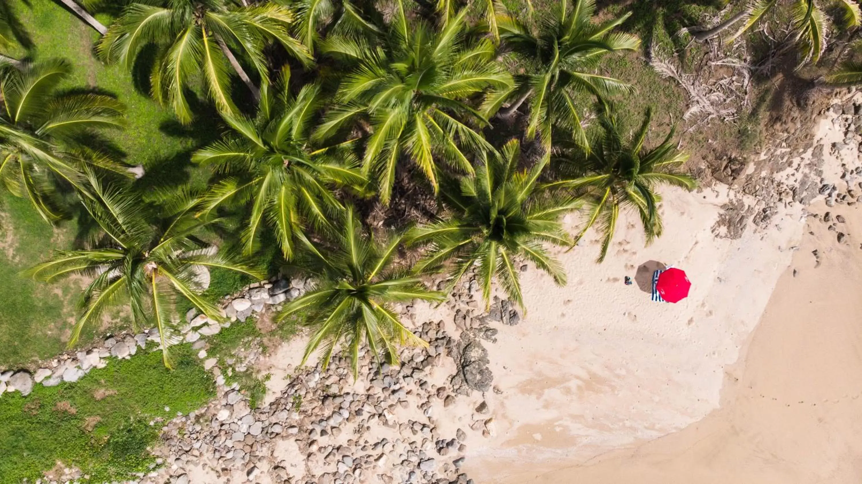 Beach in PAL.MAR Hotel Tropical