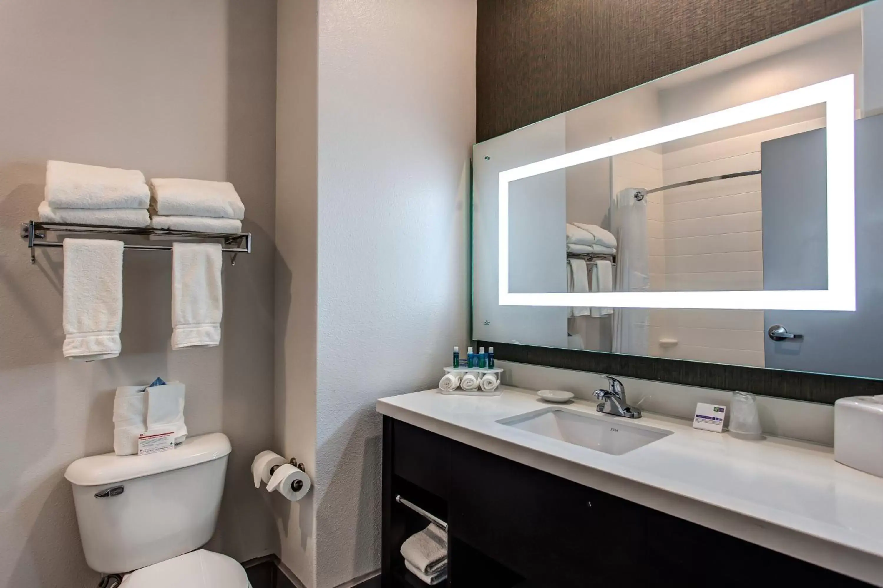 Bathroom in Holiday Inn Express & Suites Gatesville - N. Ft Hood, an IHG Hotel