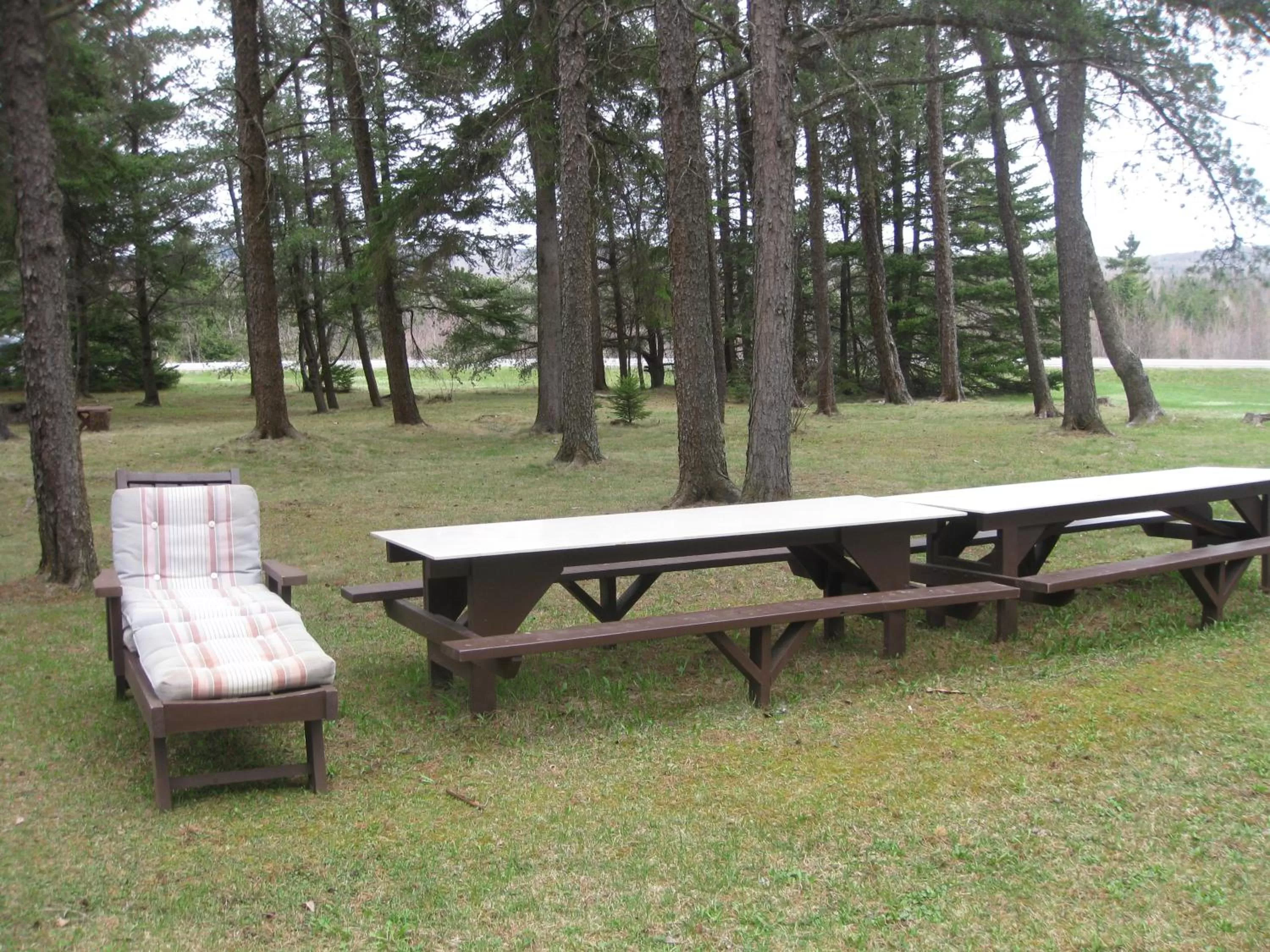 Day in Pinecone Motel