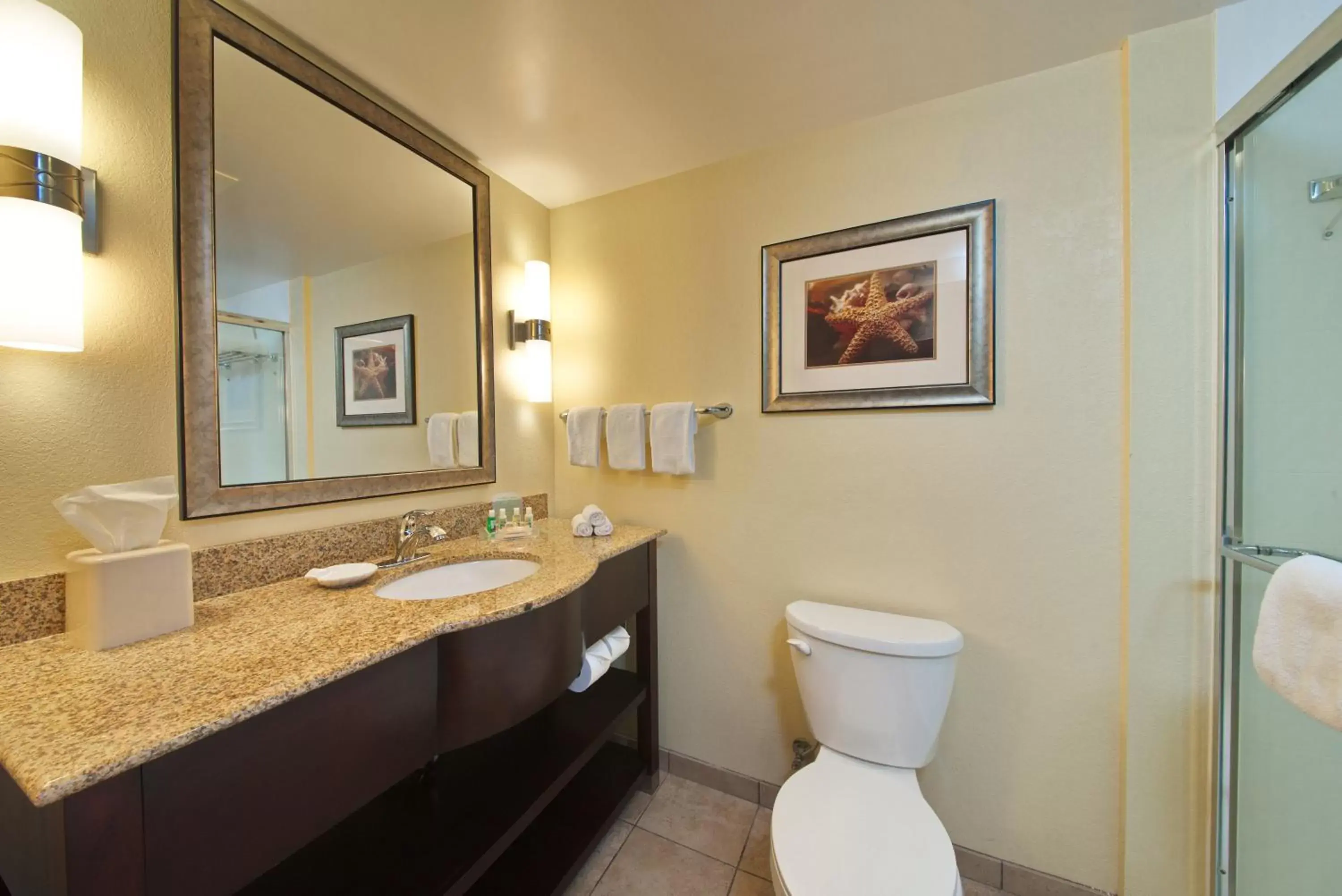 Bathroom in Holiday Inn Titusville/Kennedy Space Center, an IHG Hotel