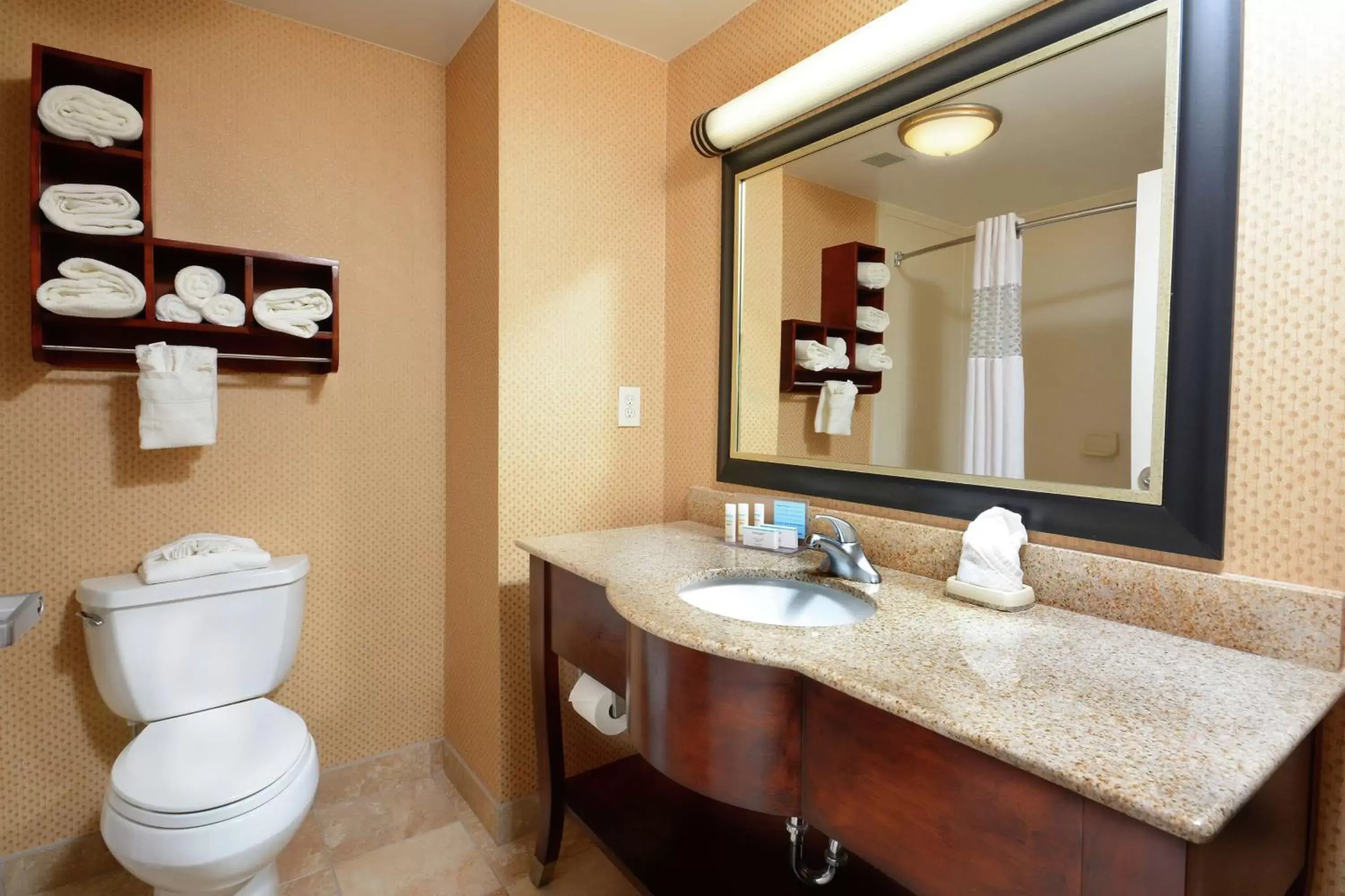 Bathroom in Hampton Inn & Suites Huntersville