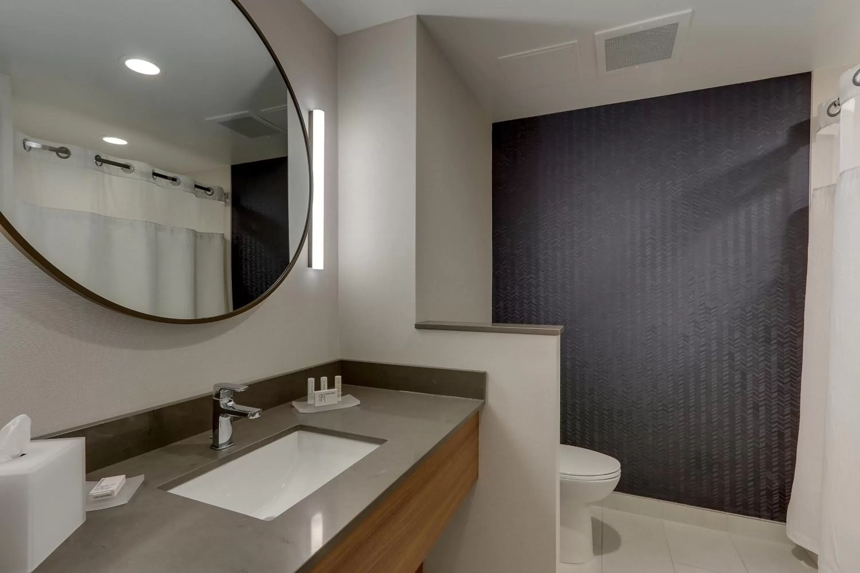 Bathroom in Fairfield Inn & Suites by Marriott Asheville Weaverville