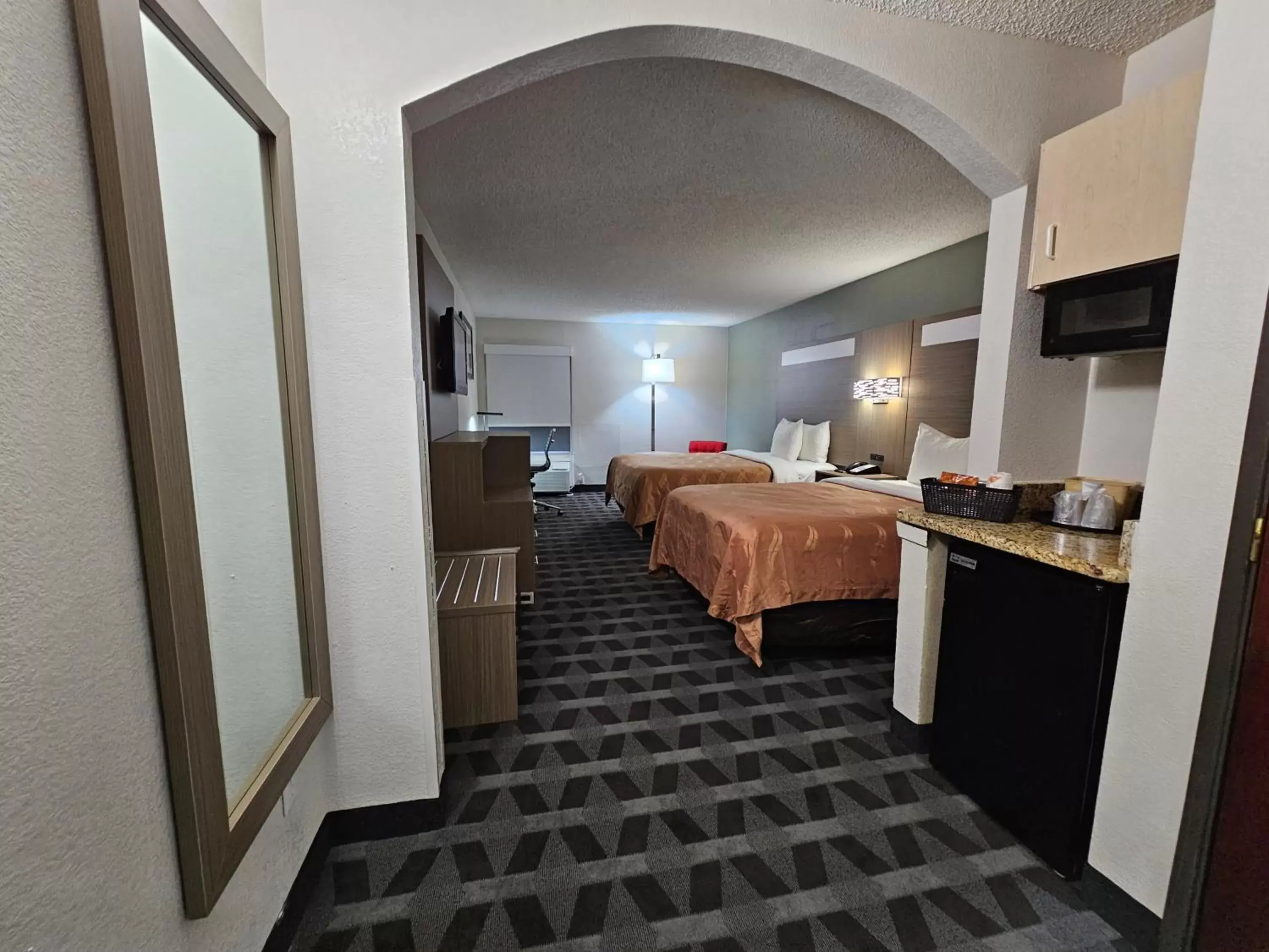 TV and multimedia, Kitchen/Kitchenette in Quality Inn & Suites DFW Airport South