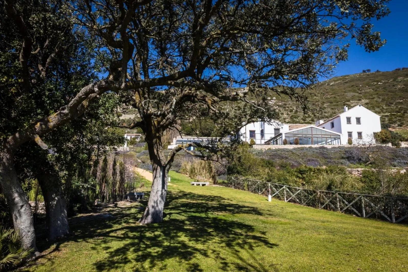 Garden in Hotel Fuente del Sol