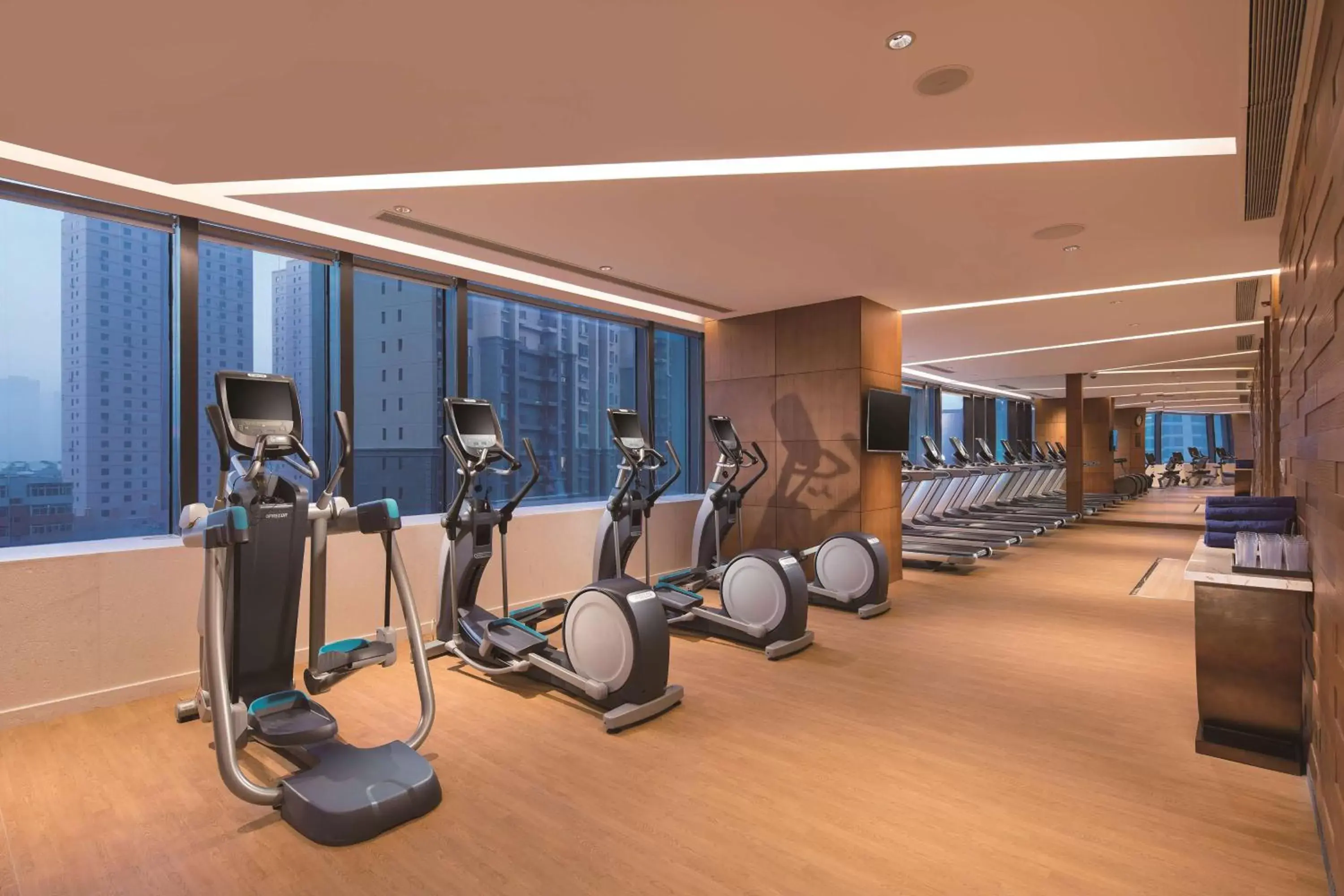 Fitness centre/facilities, Fitness Center/Facilities in Hilton Shenyang