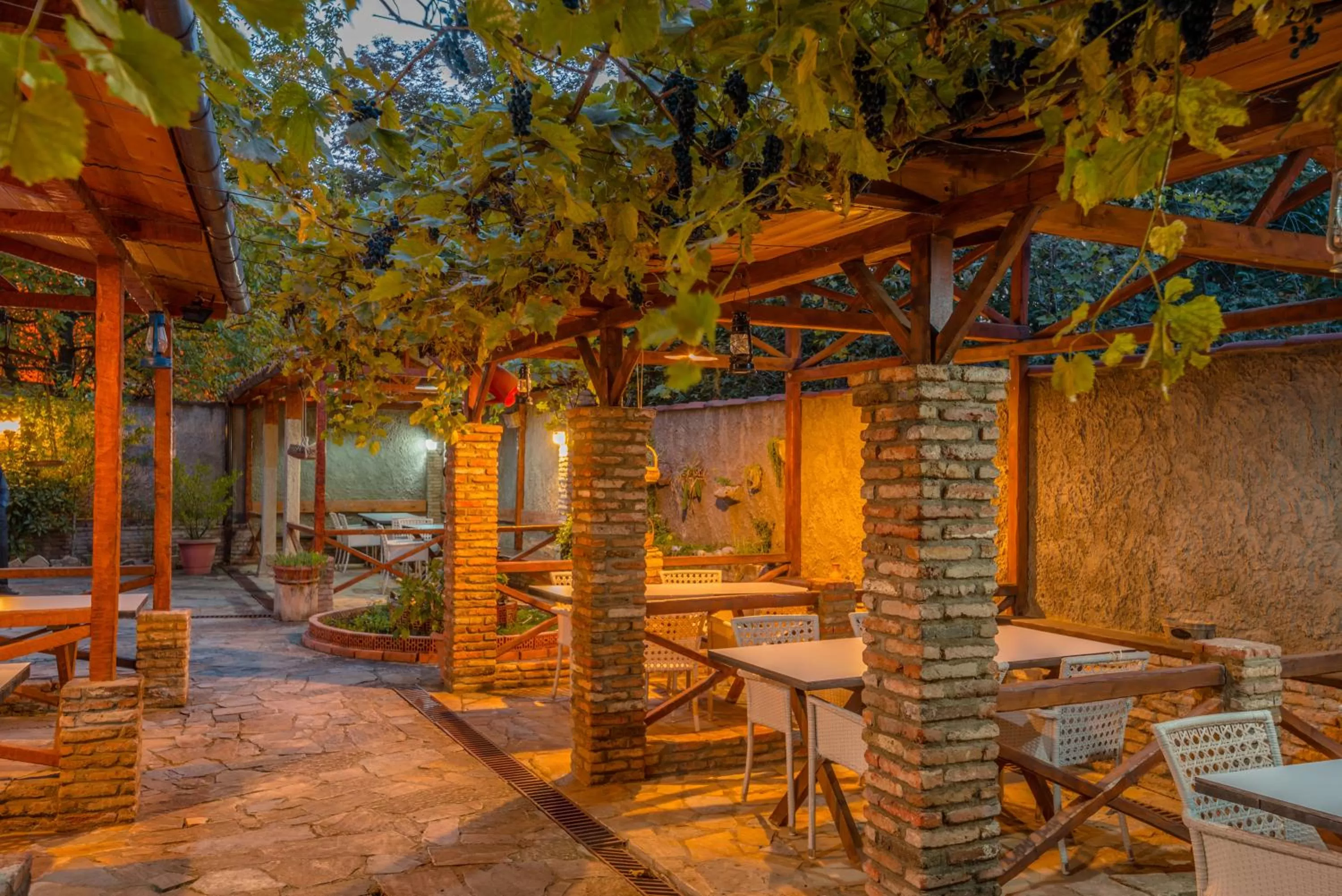 Garden in Kopala Tskneti Hotel