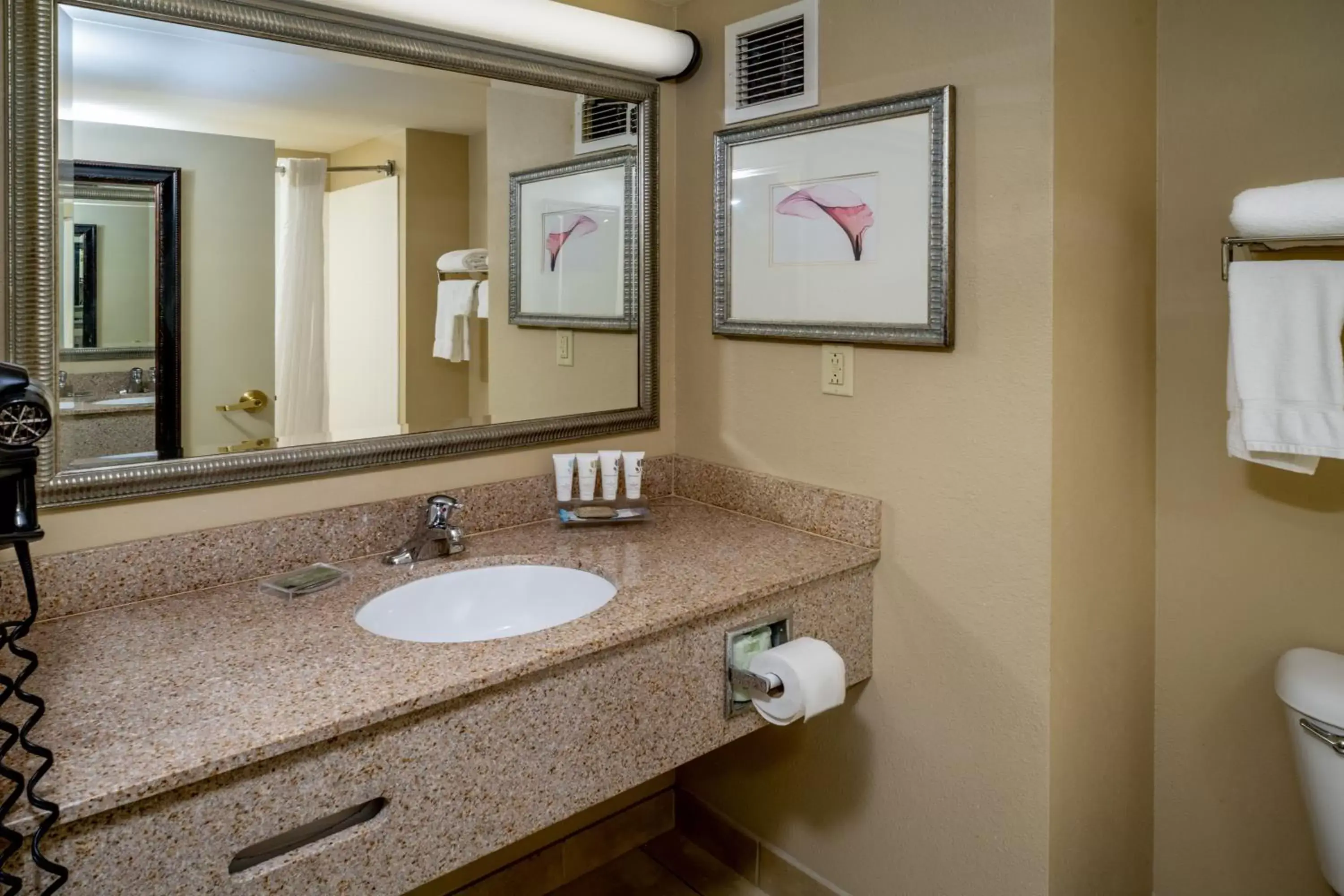 Bathroom in Country Inn & Suites by Radisson, Princeton, WV