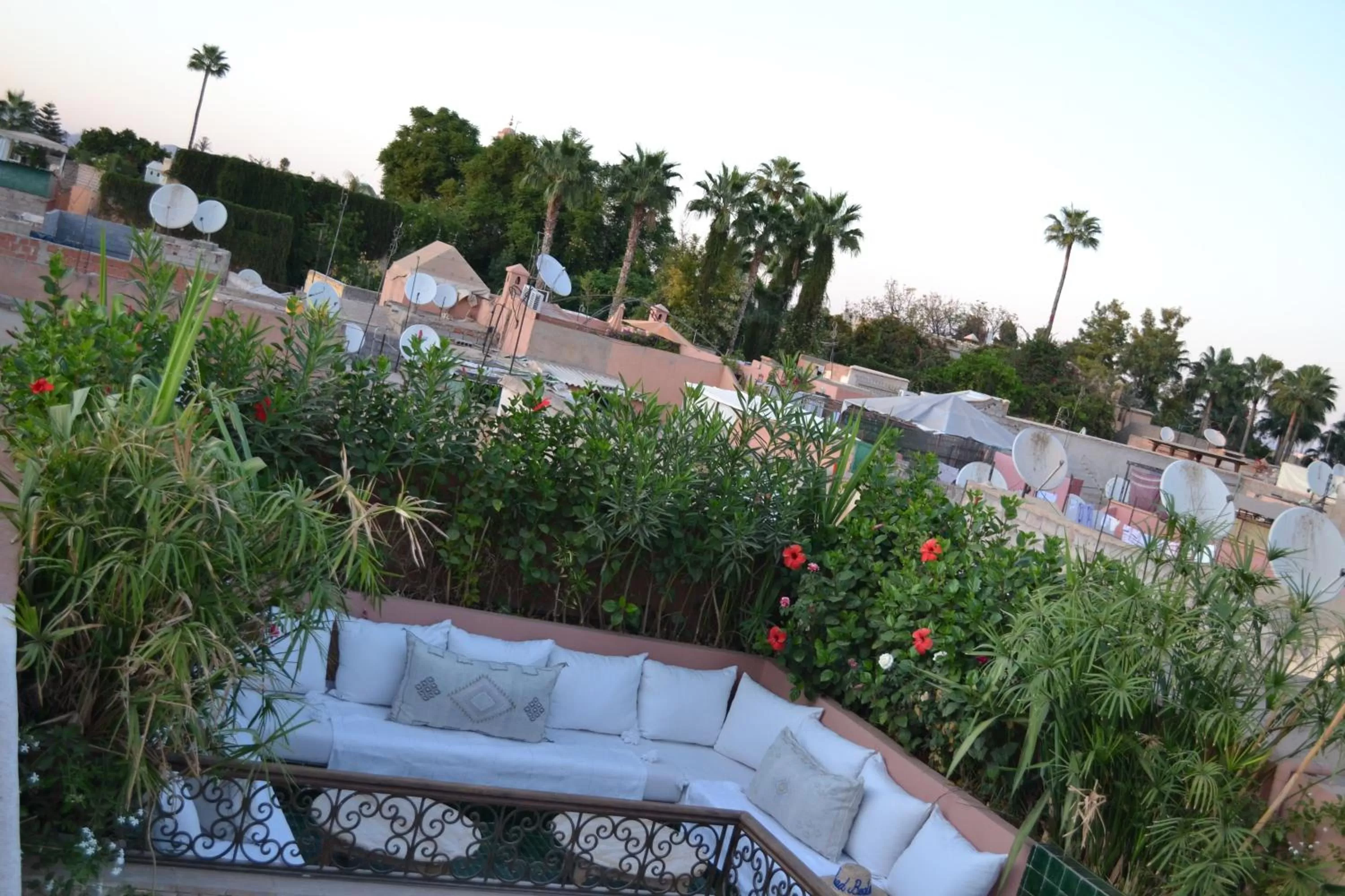 Patio in Riad Beata Bed & Breakfast