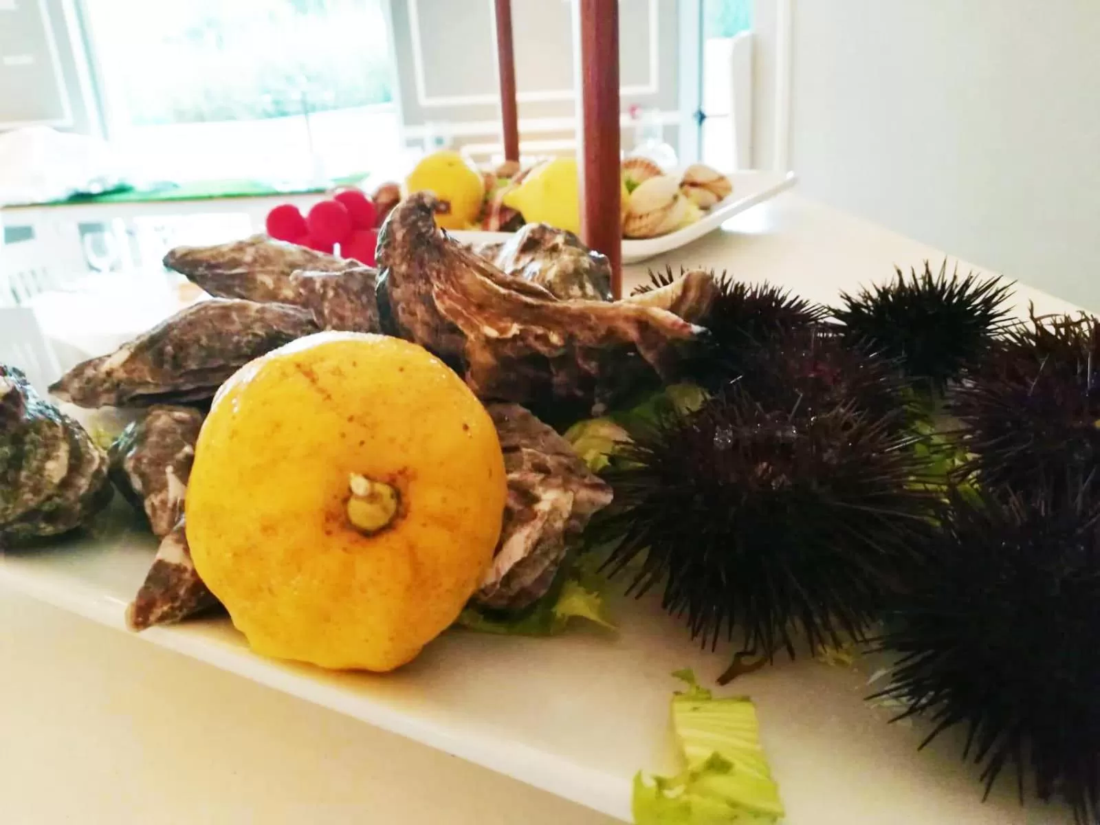 Food and drinks in Regiohotel Manfredi