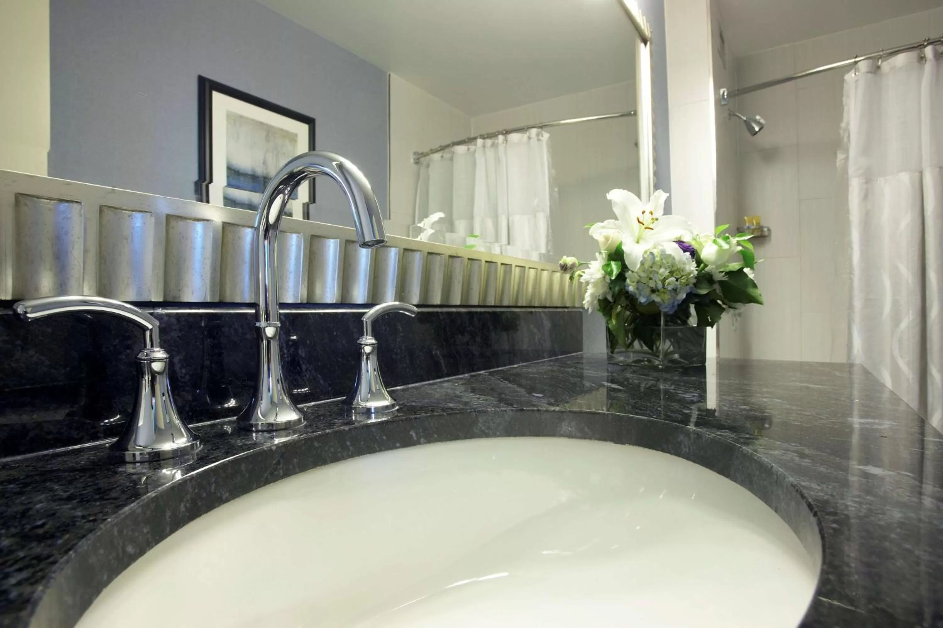 Bathroom in Hyatt Regency Buffalo