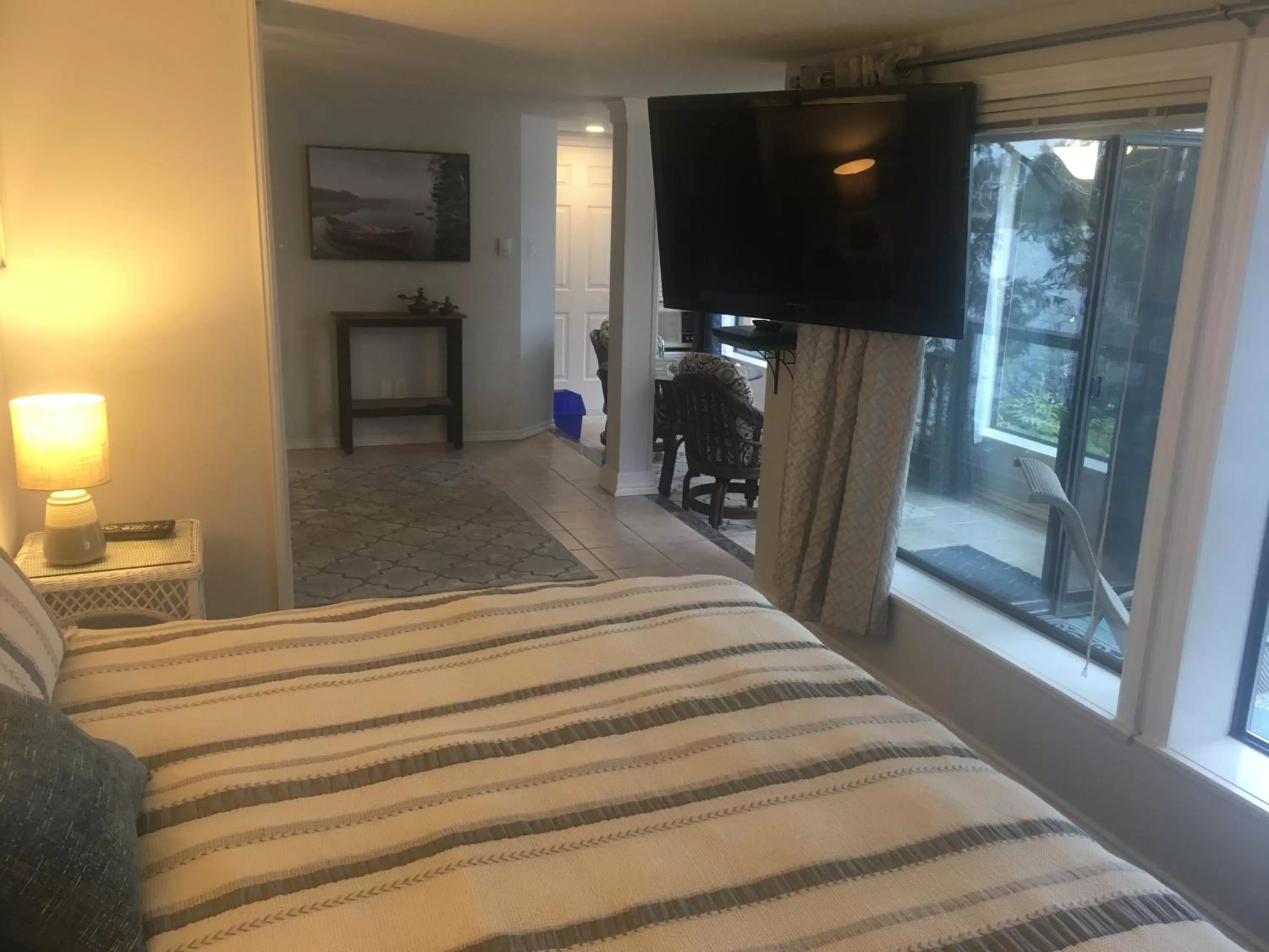 TV and multimedia, TV/Entertainment Center in Long Lake Waterfront Bed and Breakfast