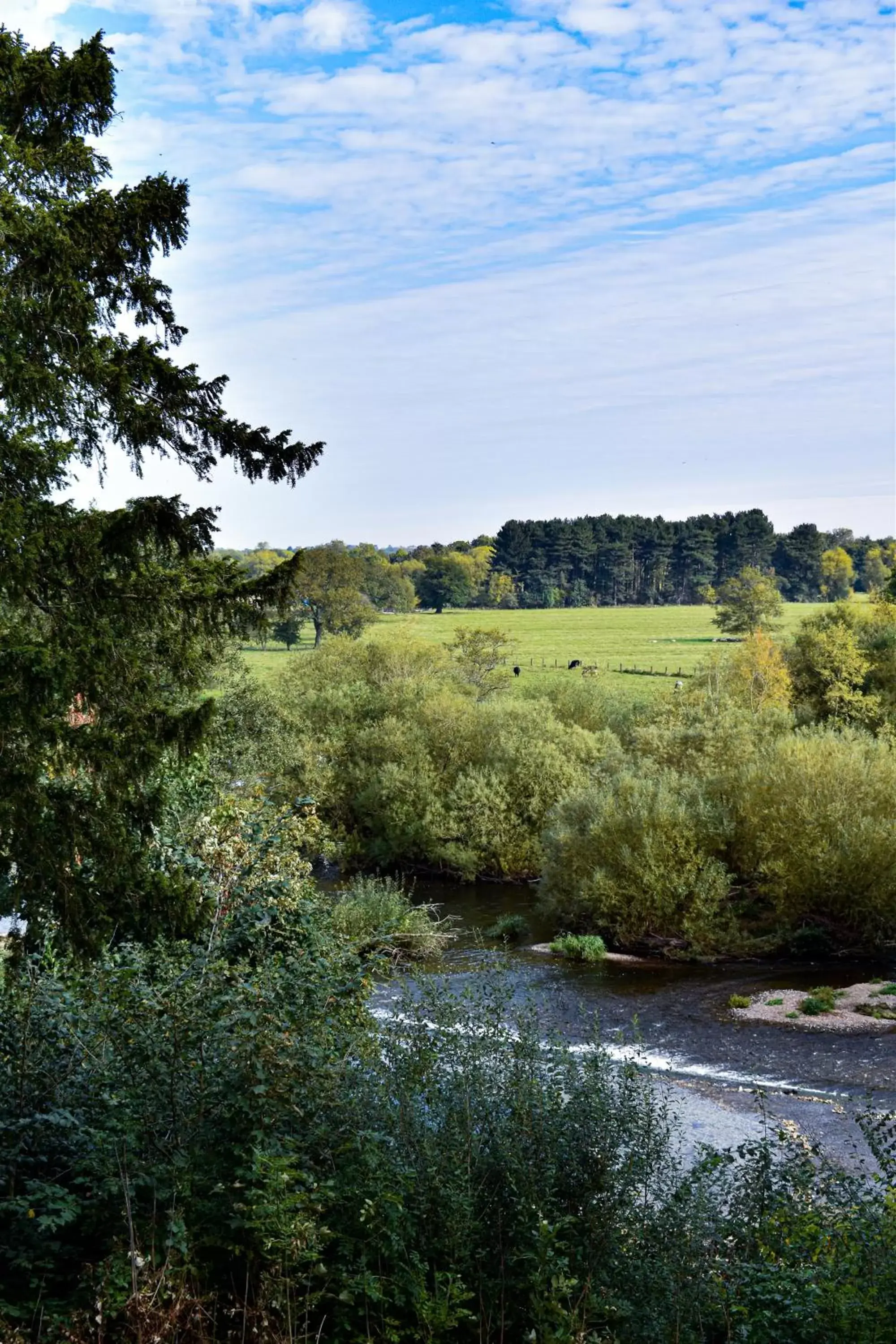 River view in Dovecliff Hall Hotel