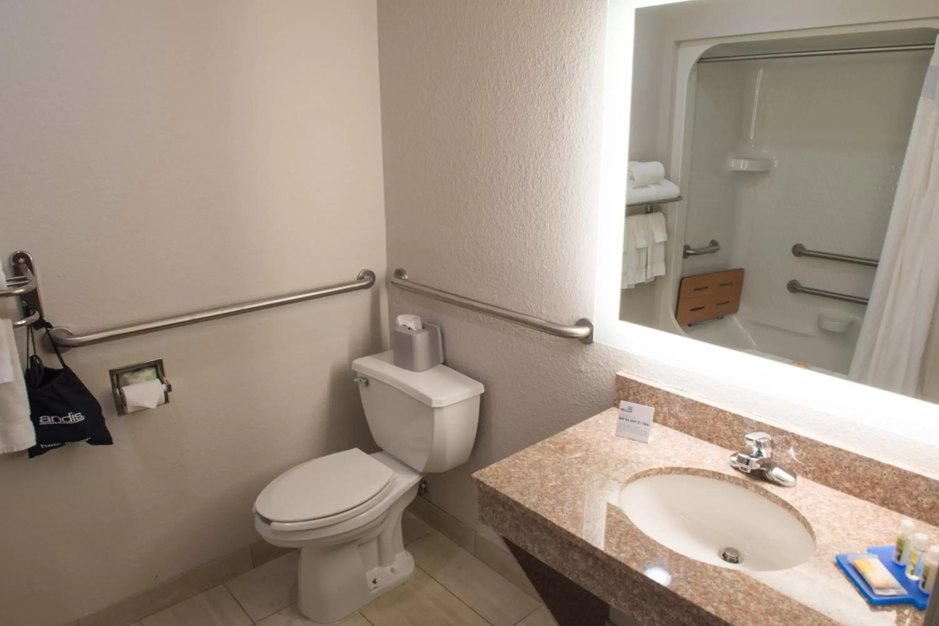 Photo of the whole room, Bathroom in Holiday Inn Express Hotel & Suites Elkhart-South, an IHG Hotel