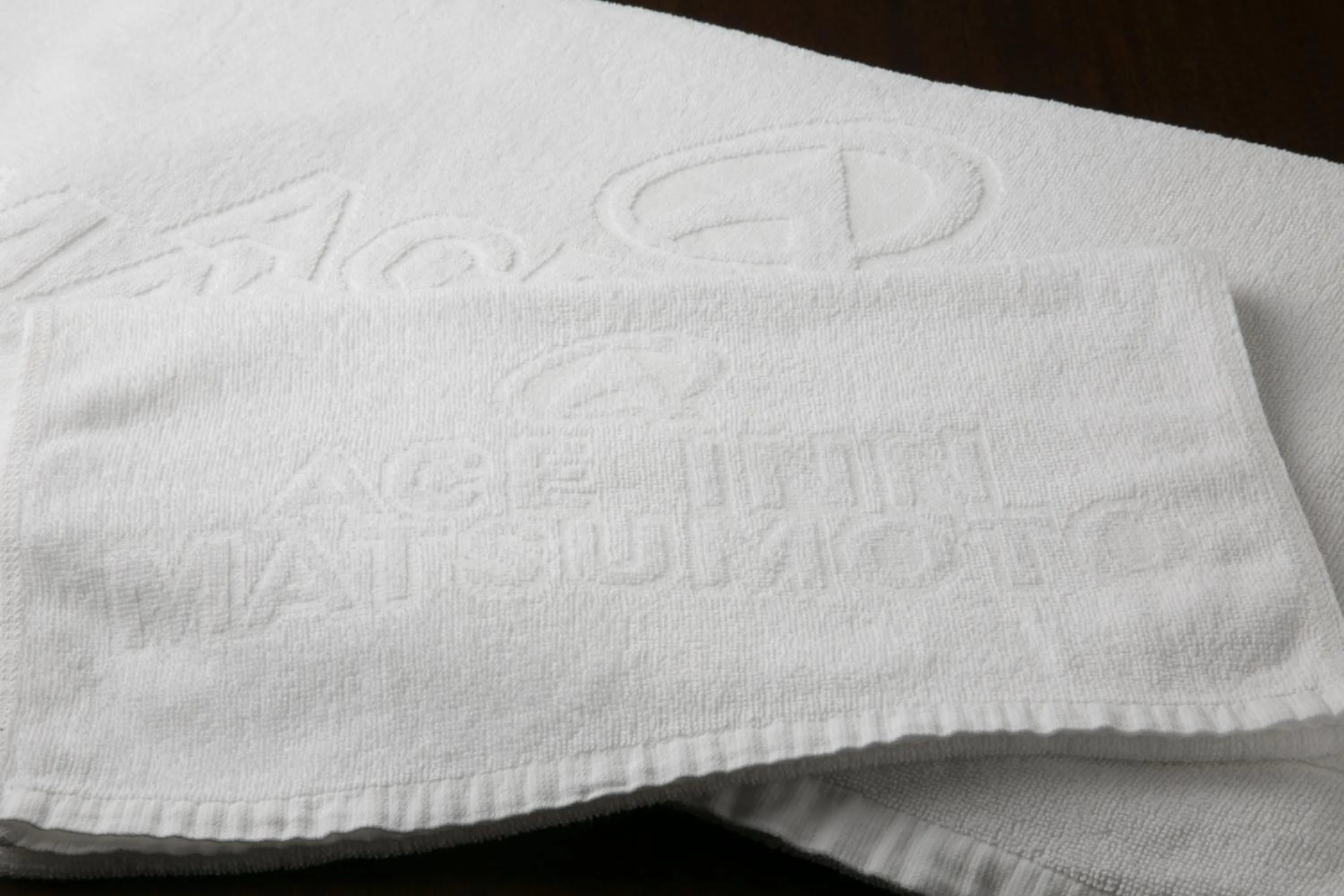 Property logo or sign in Ace Inn Matsumoto