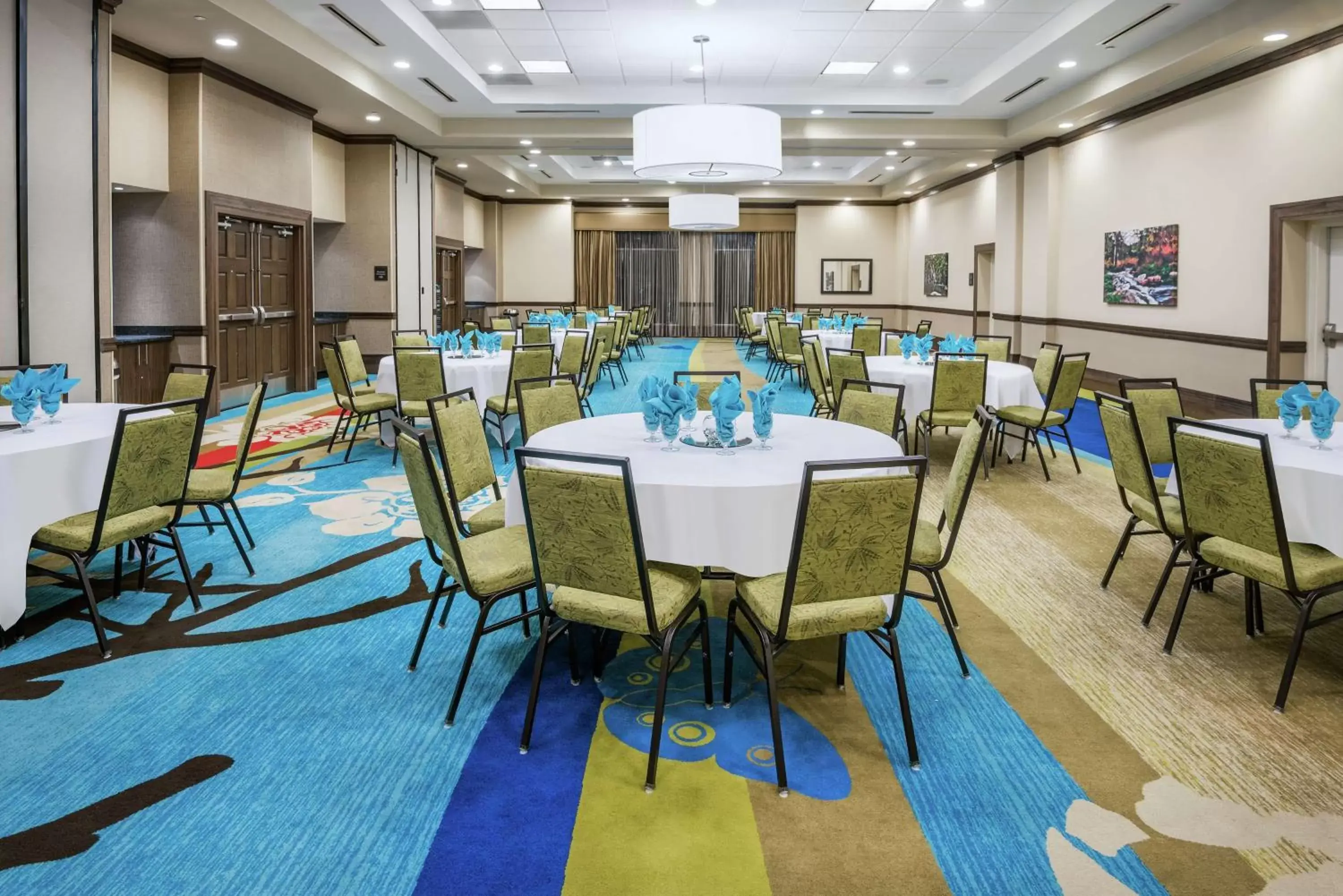 Meeting/conference room in Hilton Garden Inn San Antonio/Rim Pass Drive